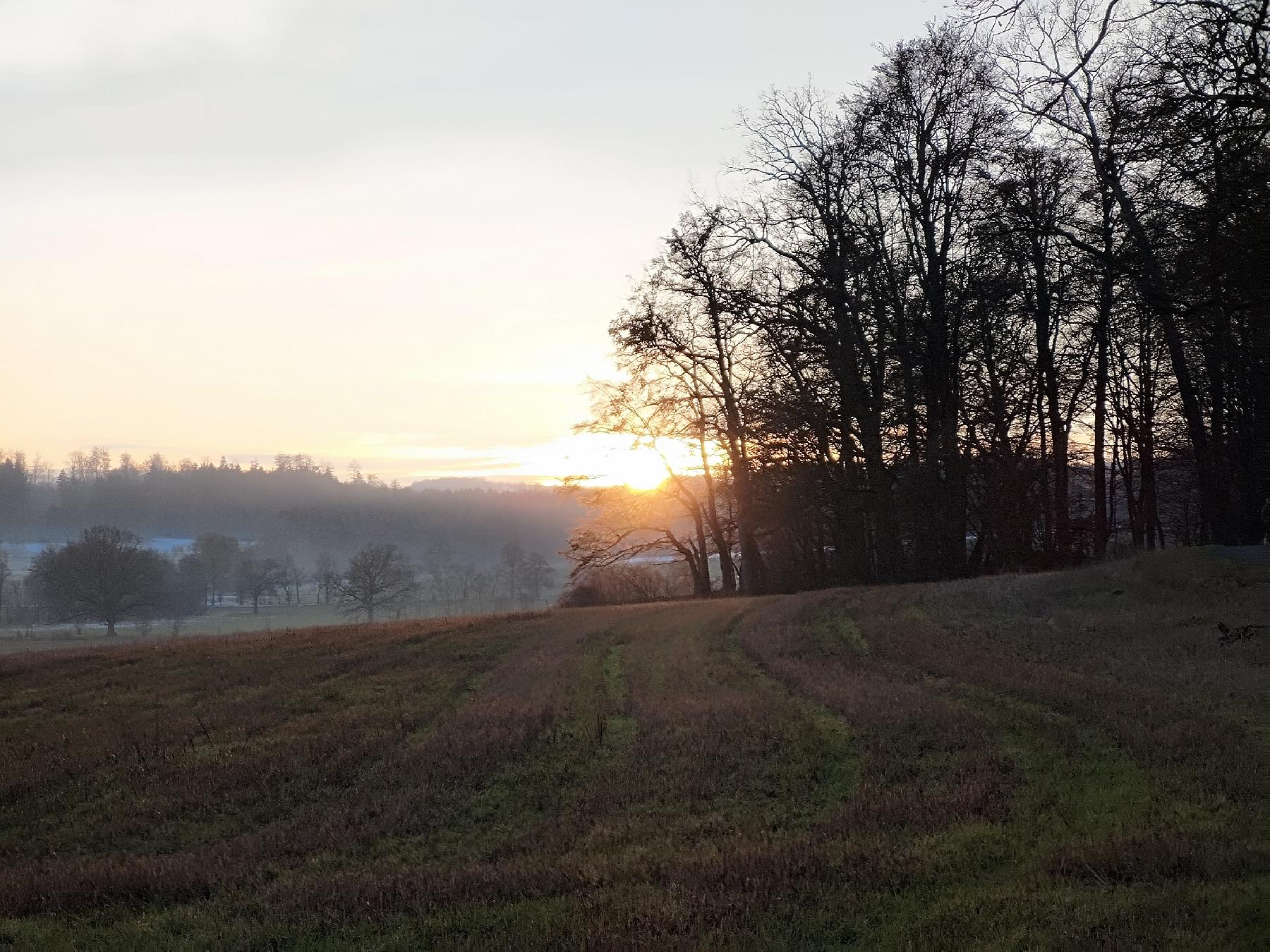Strecke Heckenweg – TK2 im Vogelsberg