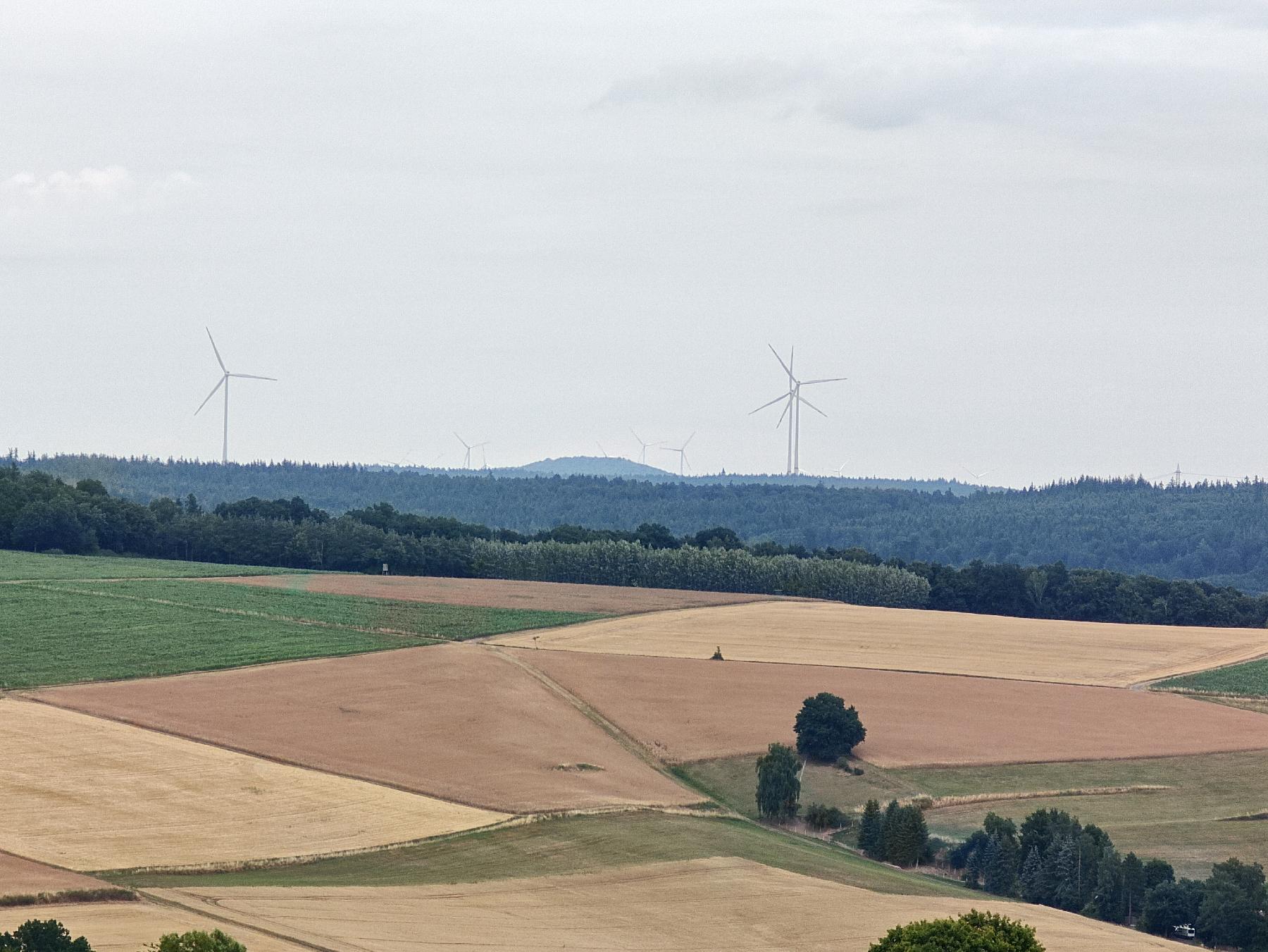 Berg Heidelberg (Üllershausen) in Schlitz-Üllershausen