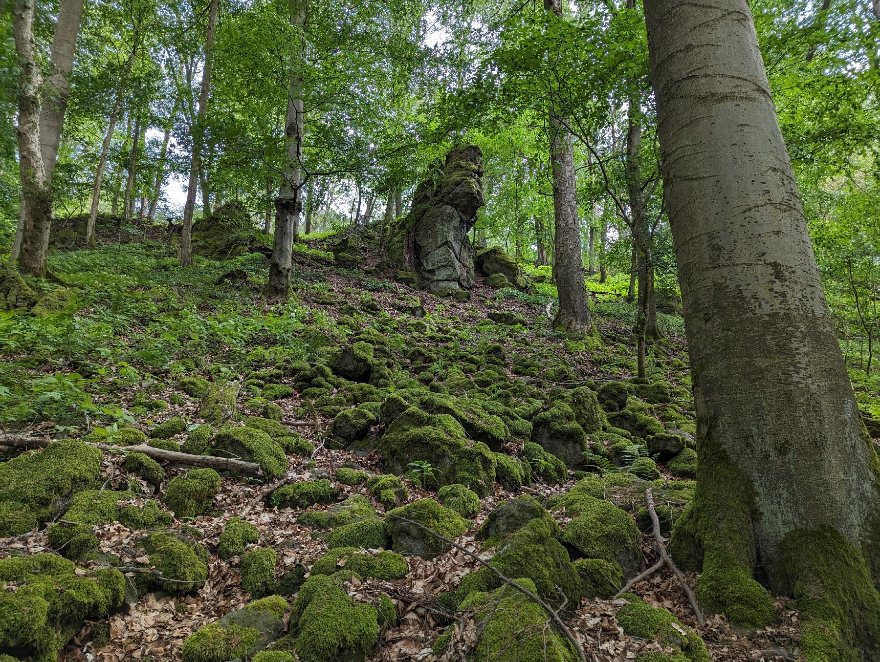 Strecke Heinzemanntour im Vogelsberg