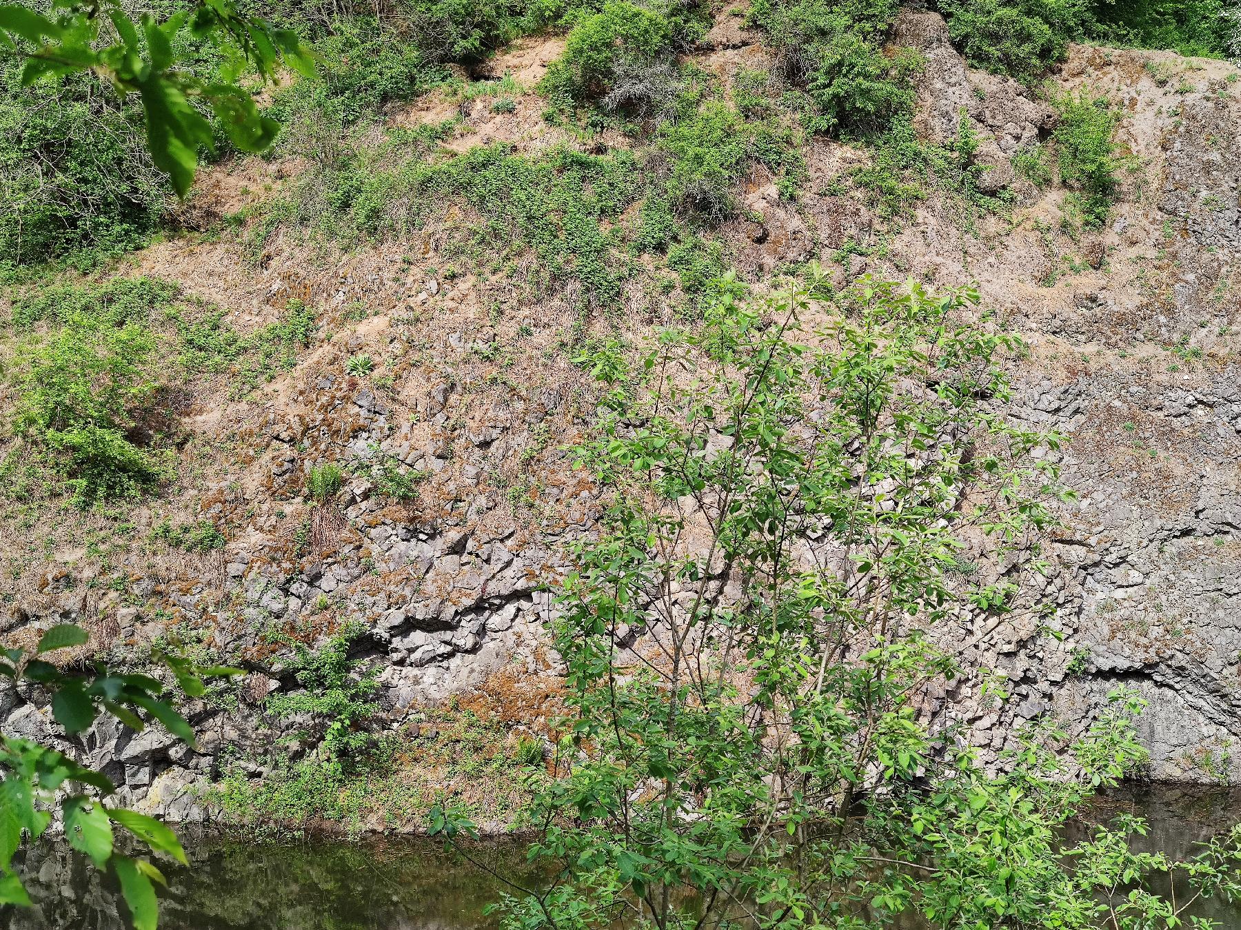 Felsen Hinterkippel in Freiensteinau