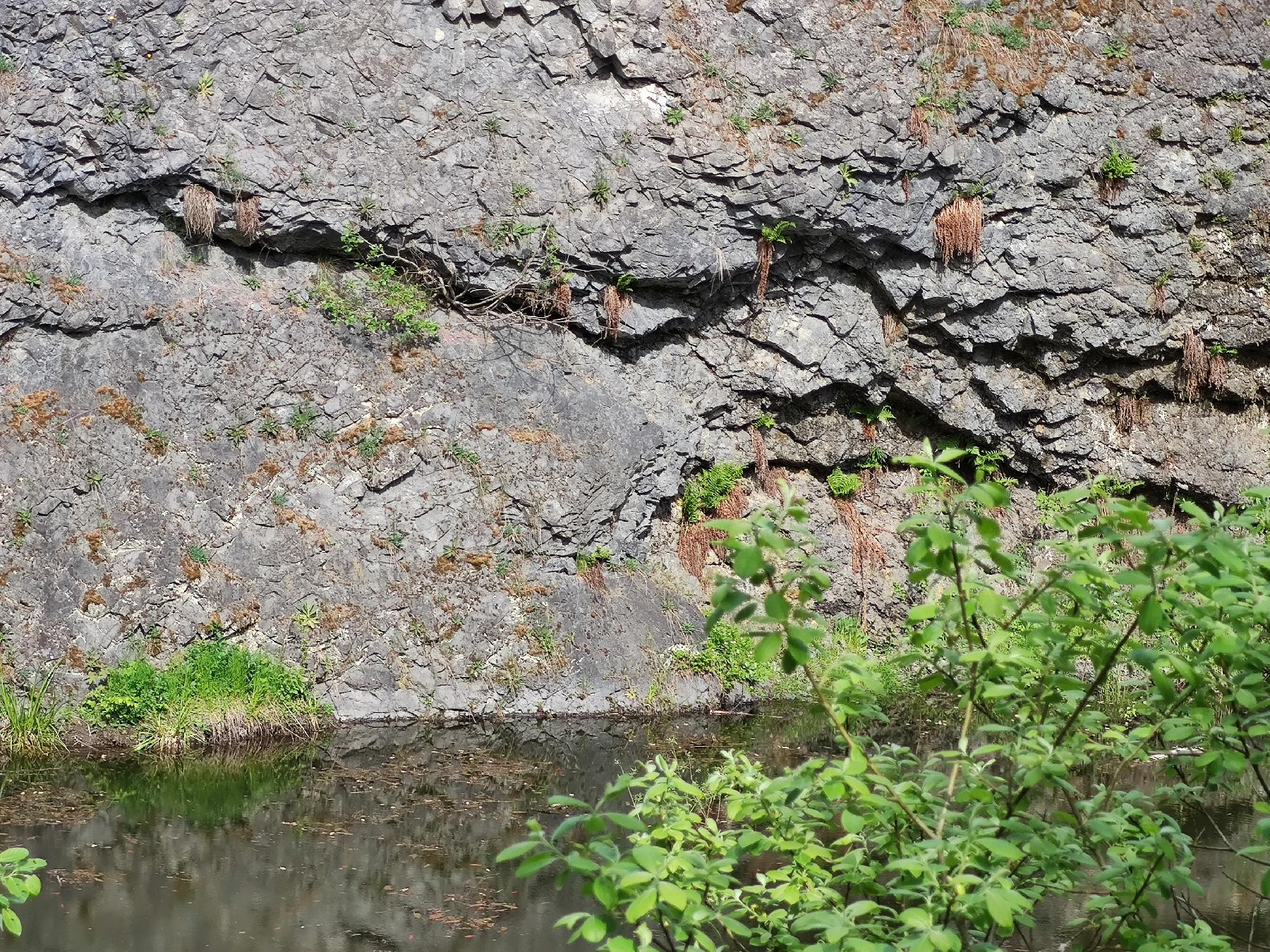 Felsen Hinterkippel in Freiensteinau