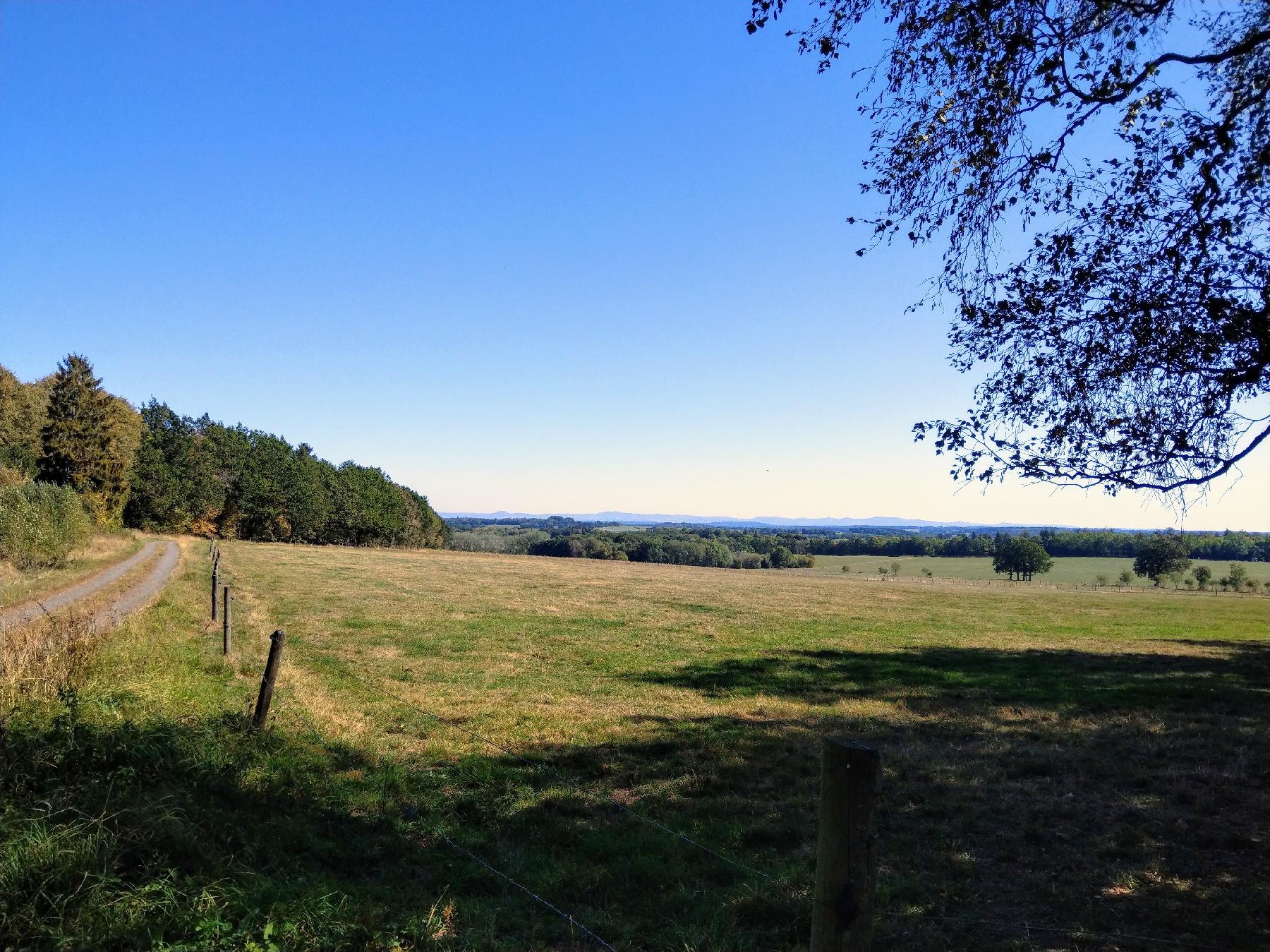 Berg Hohbalz in Herbstein-Lanzenhain