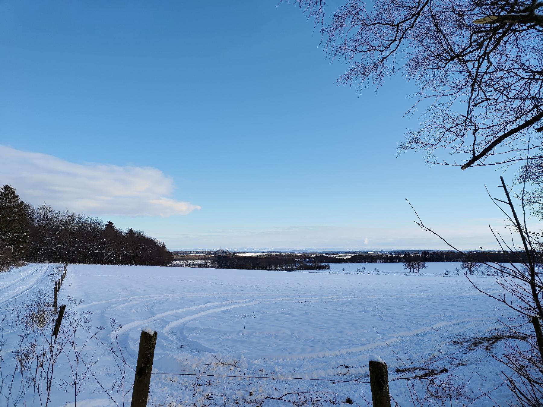 Berg Hohbalz in Herbstein-Lanzenhain