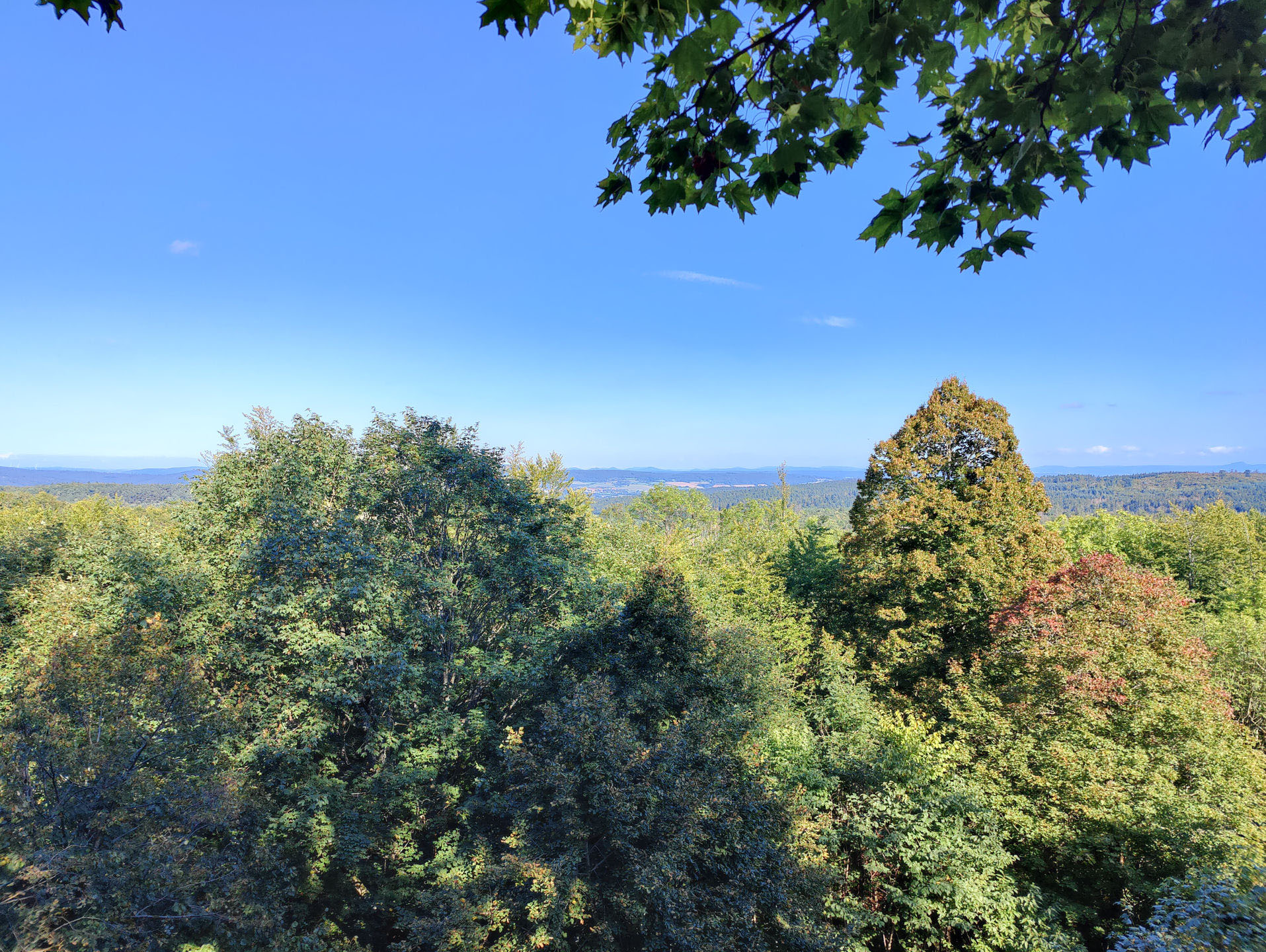 Bergspitze Hohmichelstein in Lauterbach-Rudlos