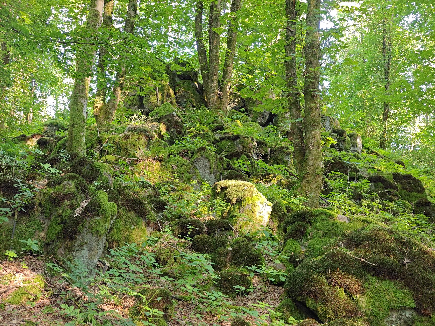 Bergspitze Horst (Rudingshain) in Schotten-Rudingshain