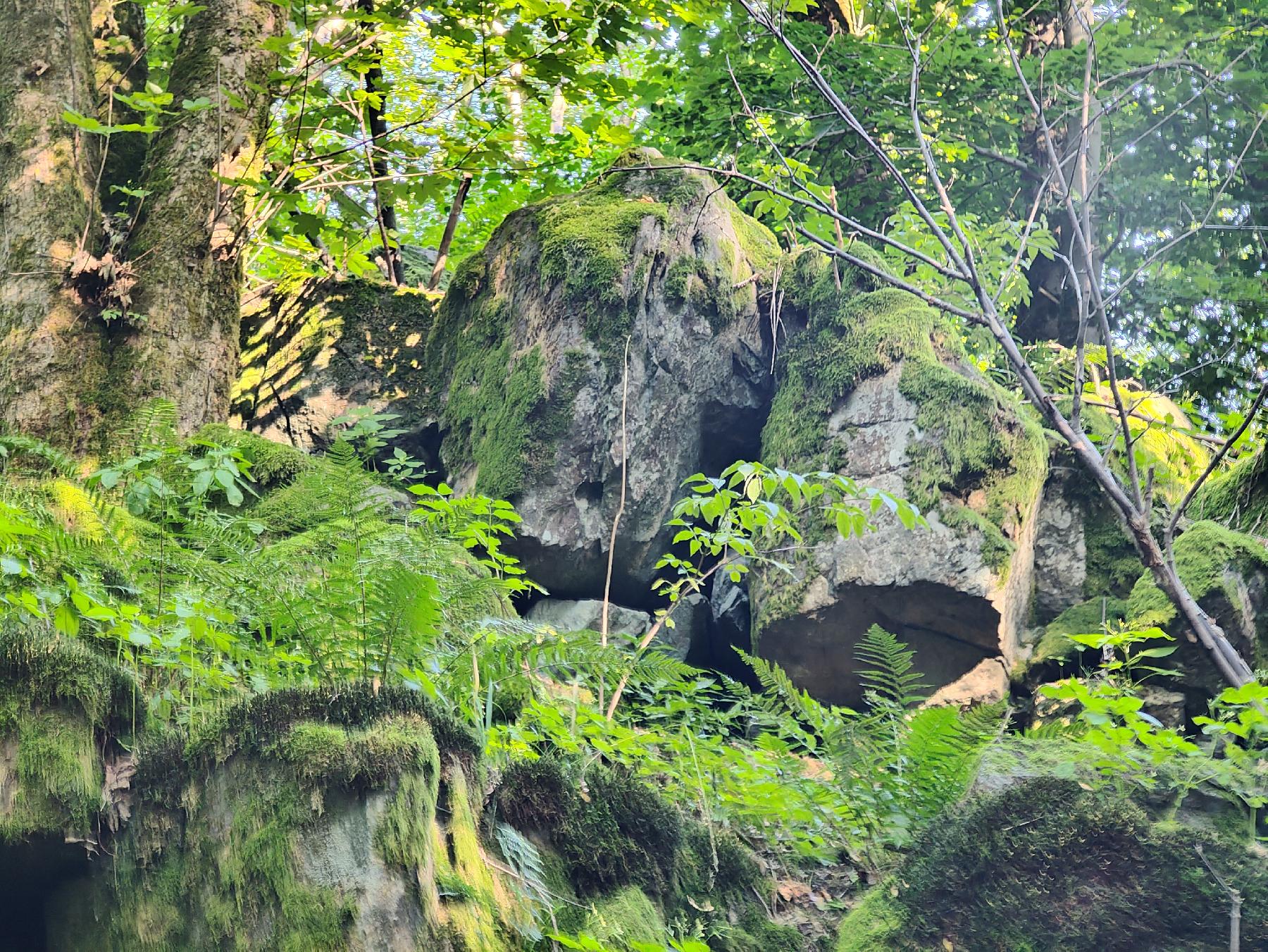 Bergspitze Horst (Rudingshain) in Schotten-Rudingshain