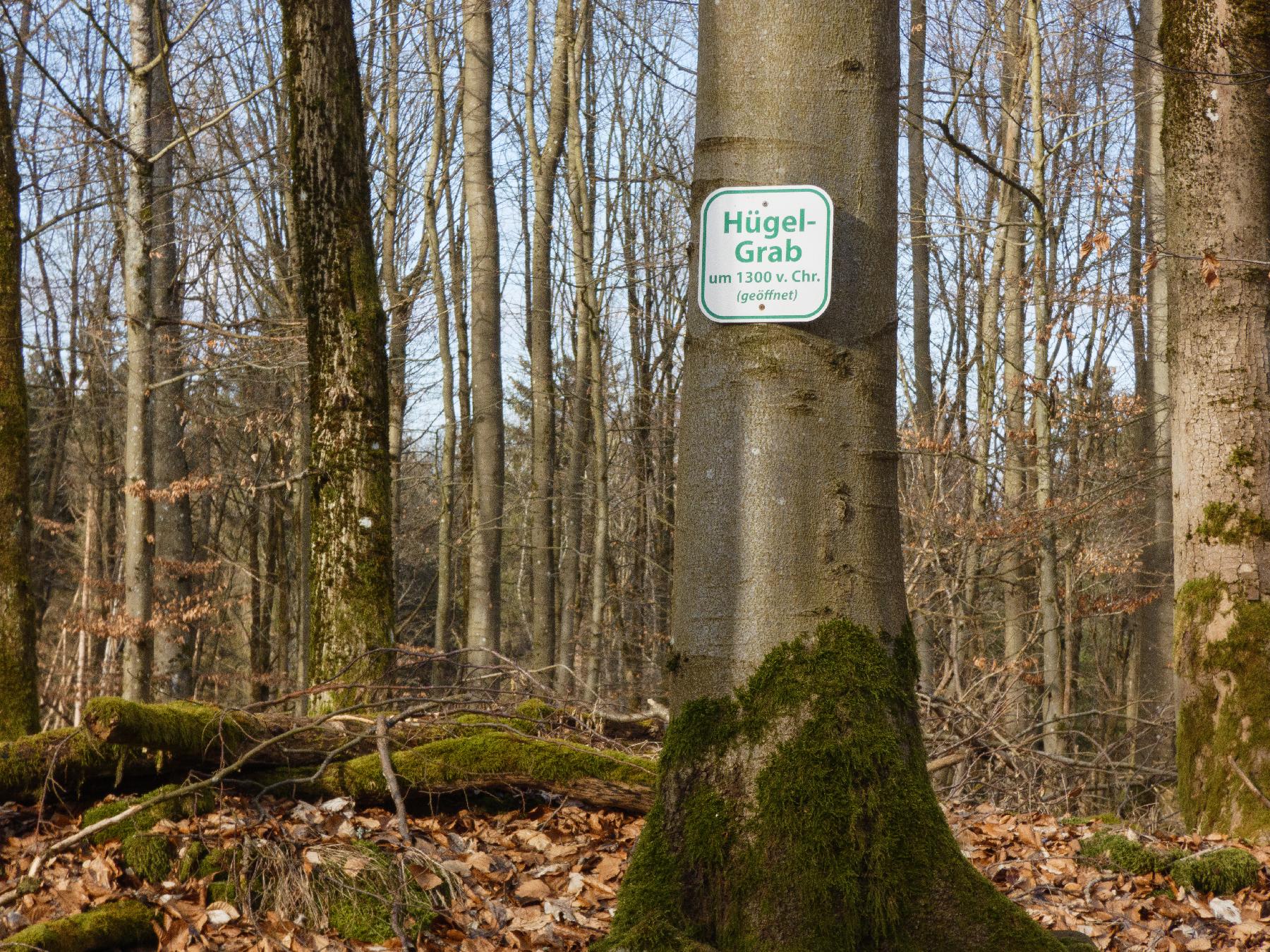 Kulturdenkmal Hügelgrab Alte Roth in Herbstein-Altenschlirf