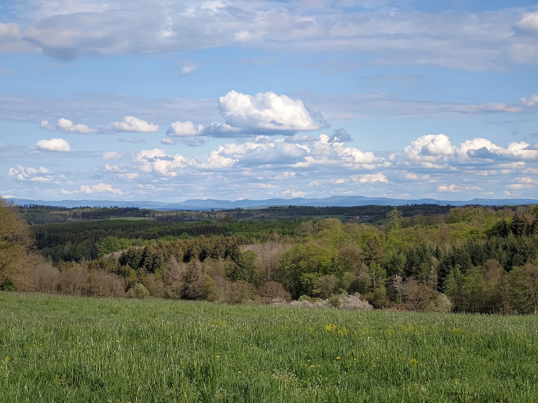 Berg Kälberberg in Lautertal-Eichenrod