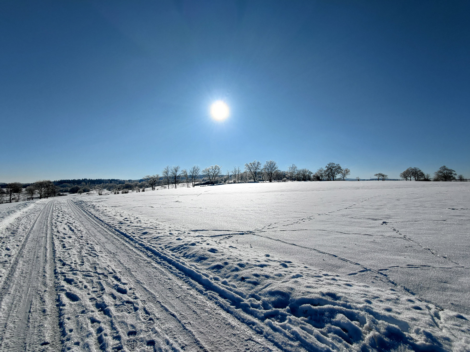 Berg Kälberberg in Lautertal-Eichenrod