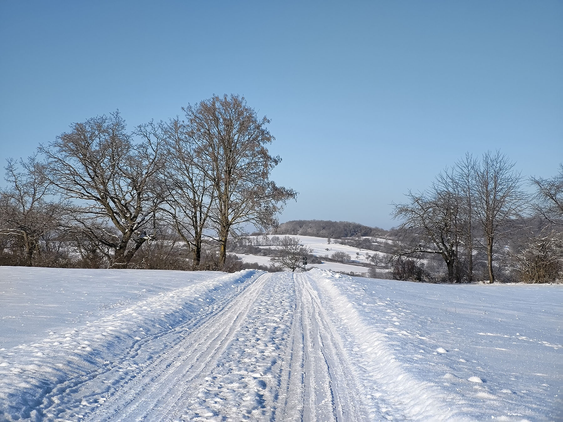 Berg Kälberberg in Lautertal-Eichenrod