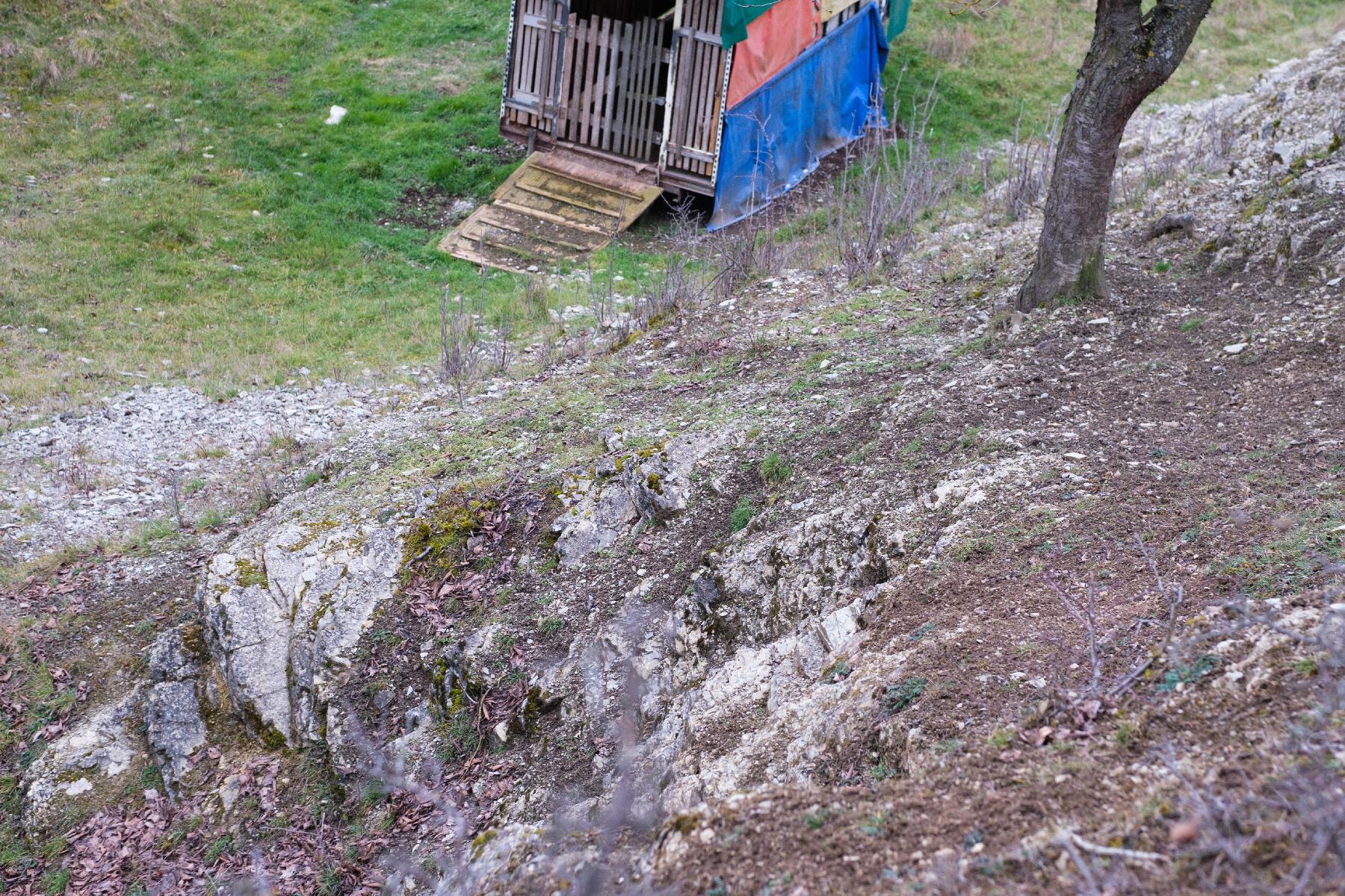 Felsen Kalkfelsen Langenberg in Großenlüder