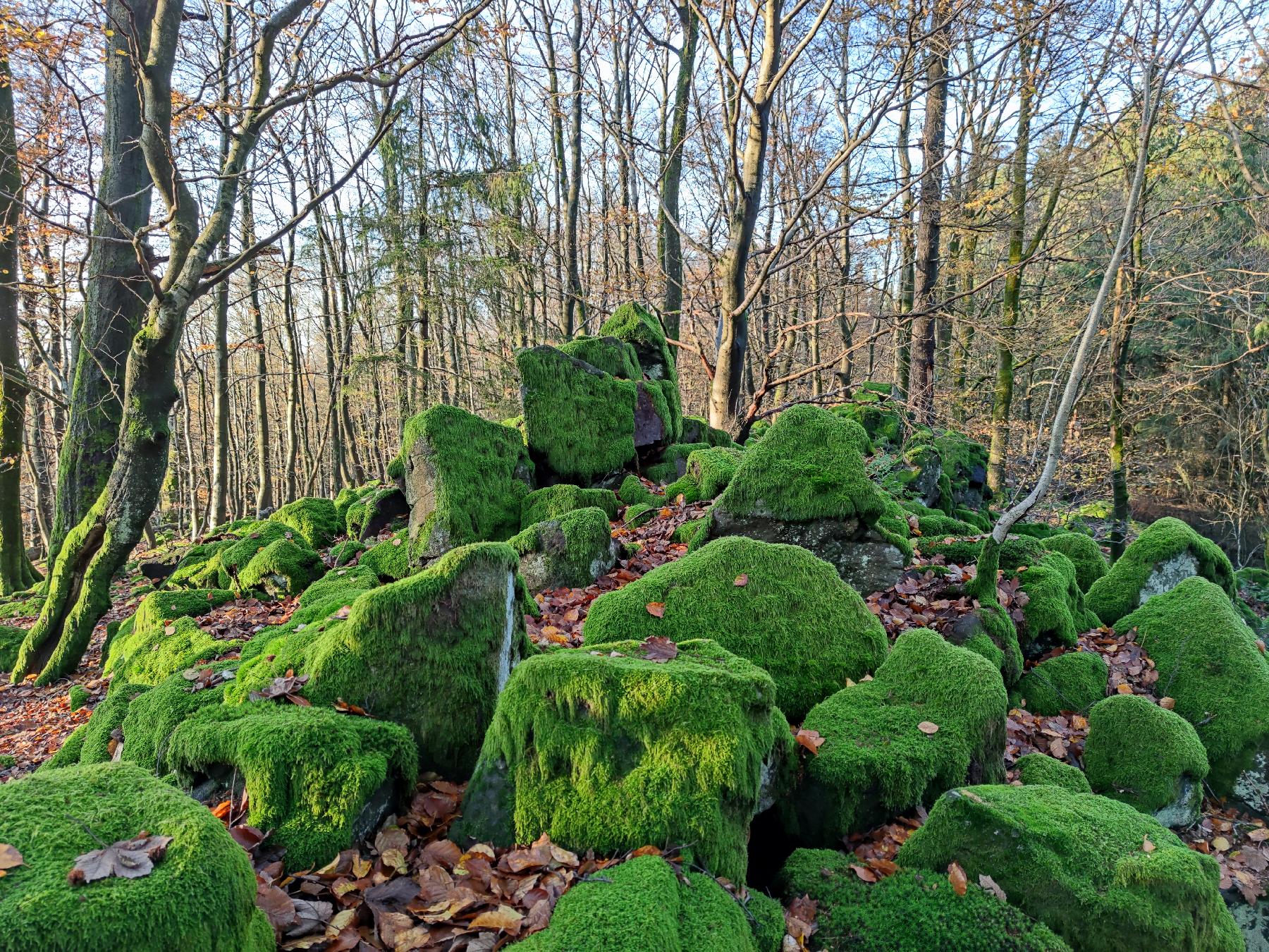 Felsen Kleiner Bilstein in Schotten-Busenborn