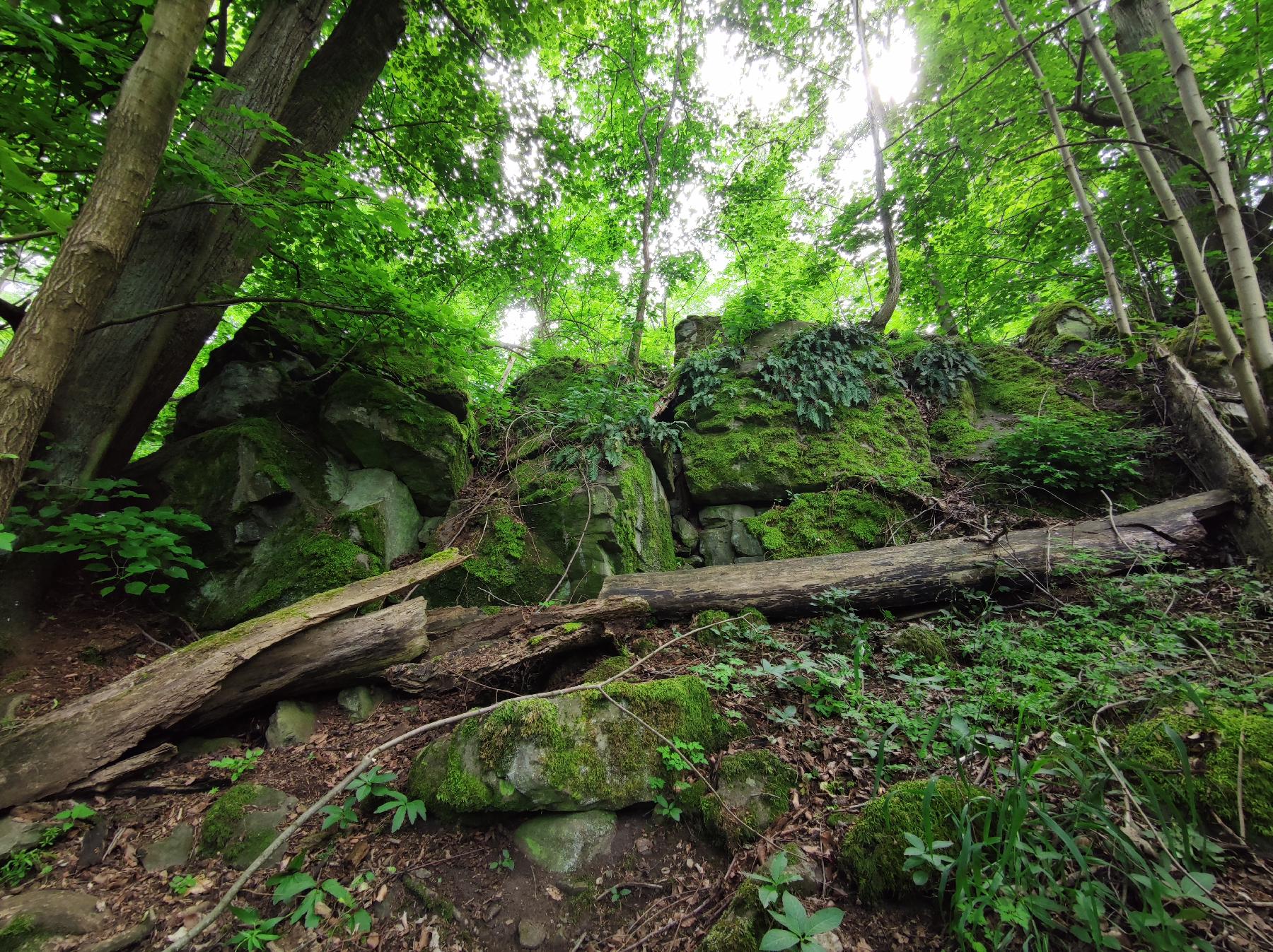 Felsen Klippen am Ziegenberg in Lautertal-Dirlammen