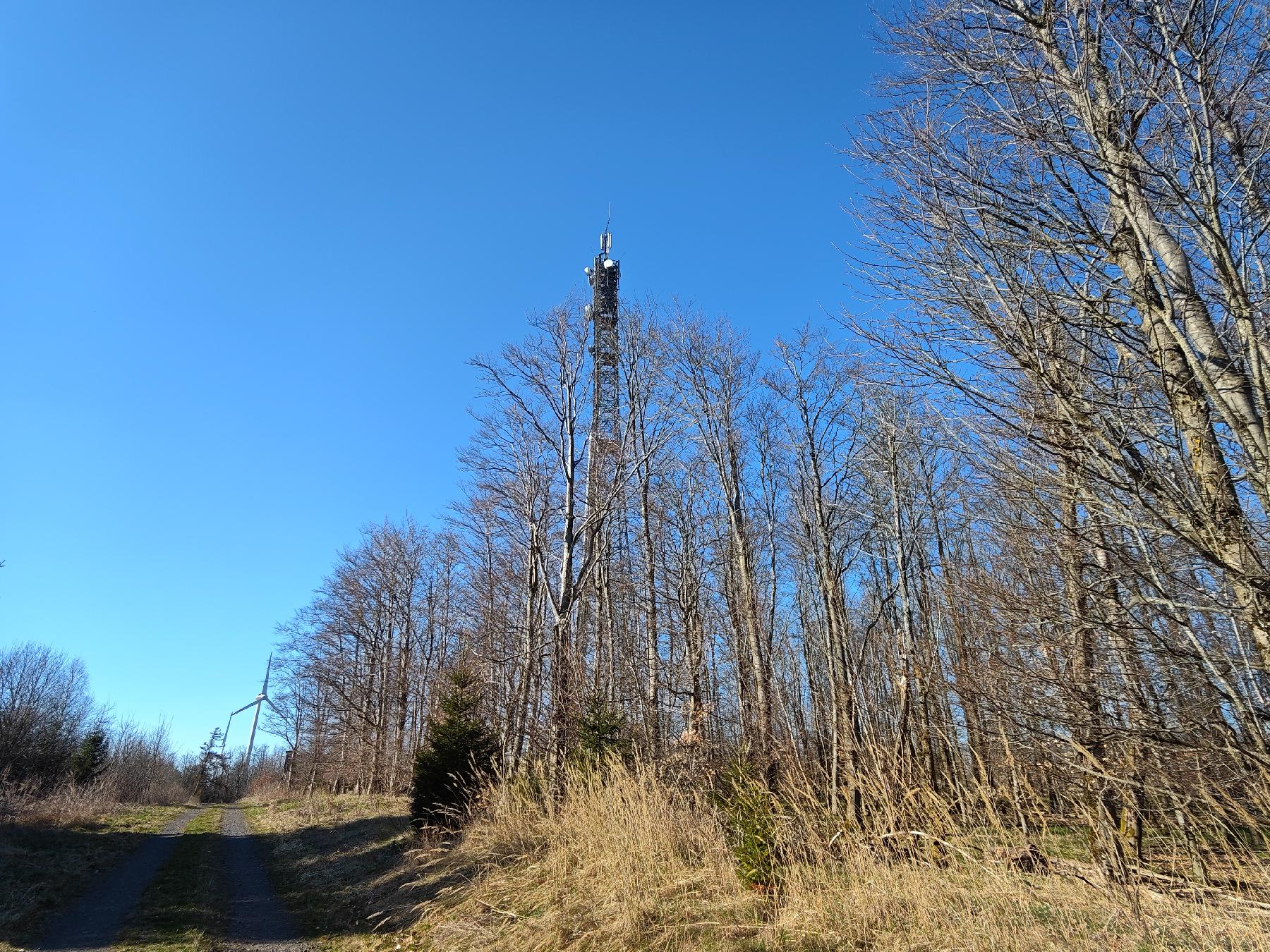 Berg Kopf in Ulrichstein