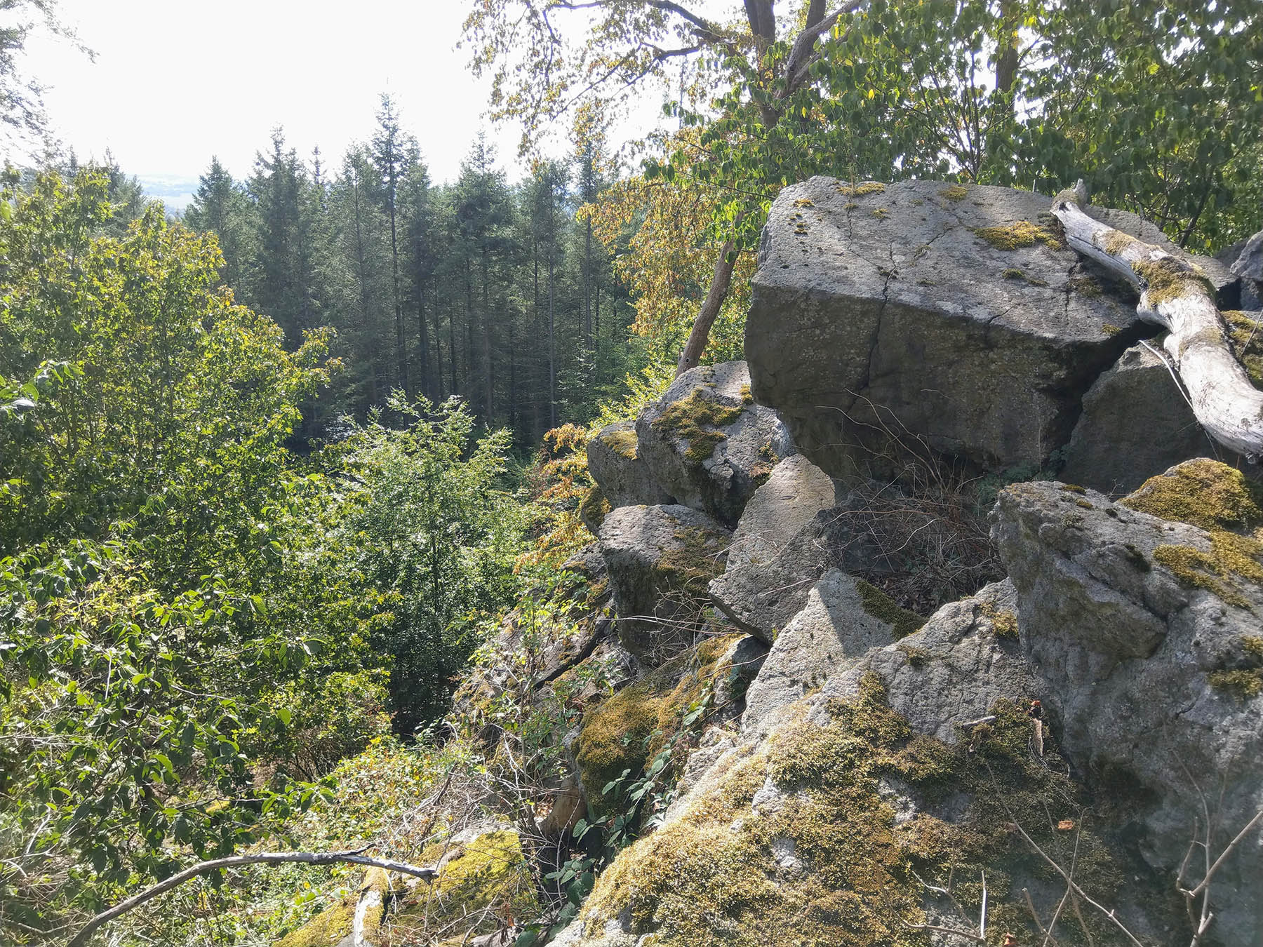 Bergspitze Landenhäuser Stein in Herbstein-Stockhausen