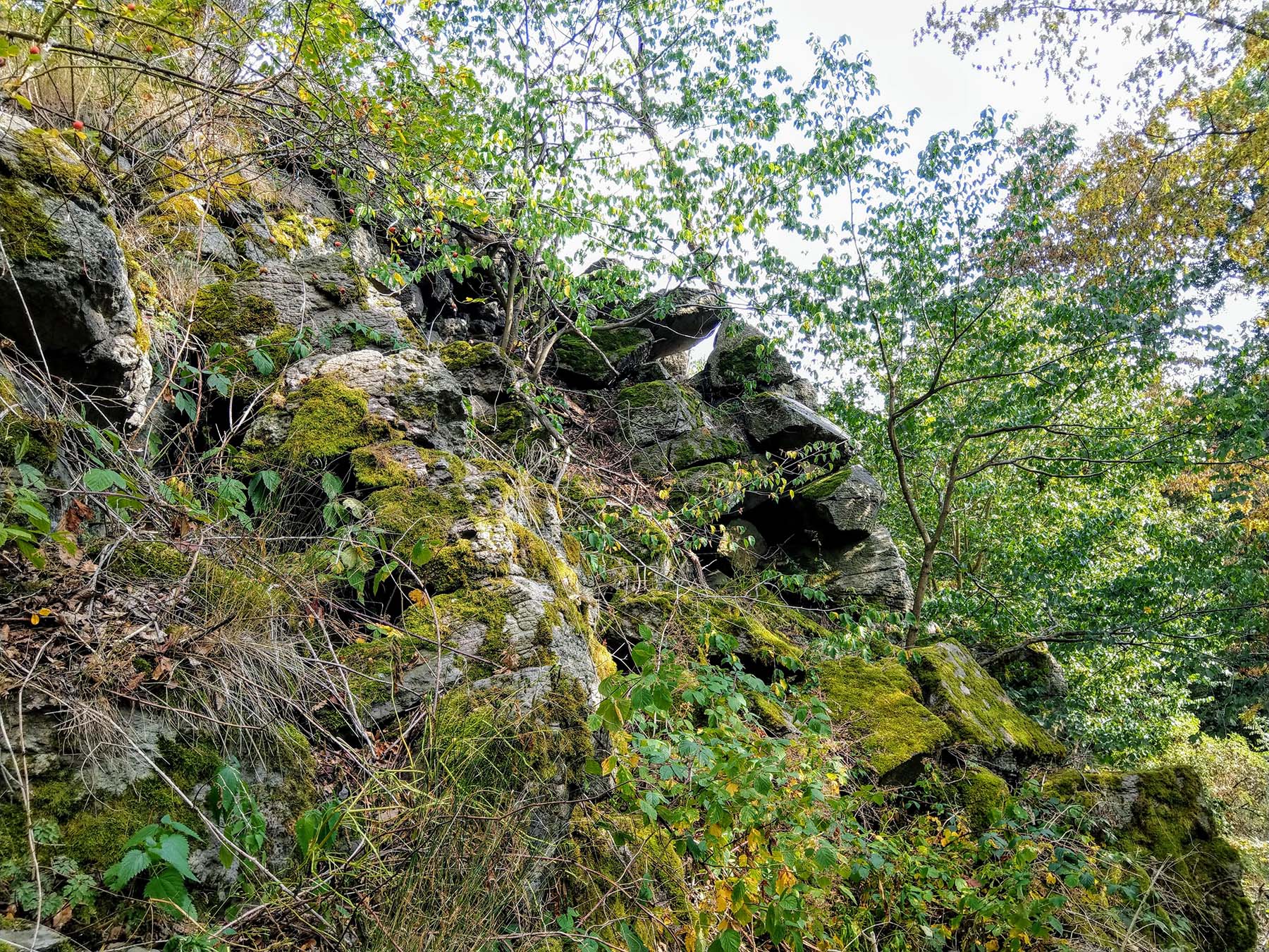 Bergspitze Landenhäuser Stein in Herbstein-Stockhausen