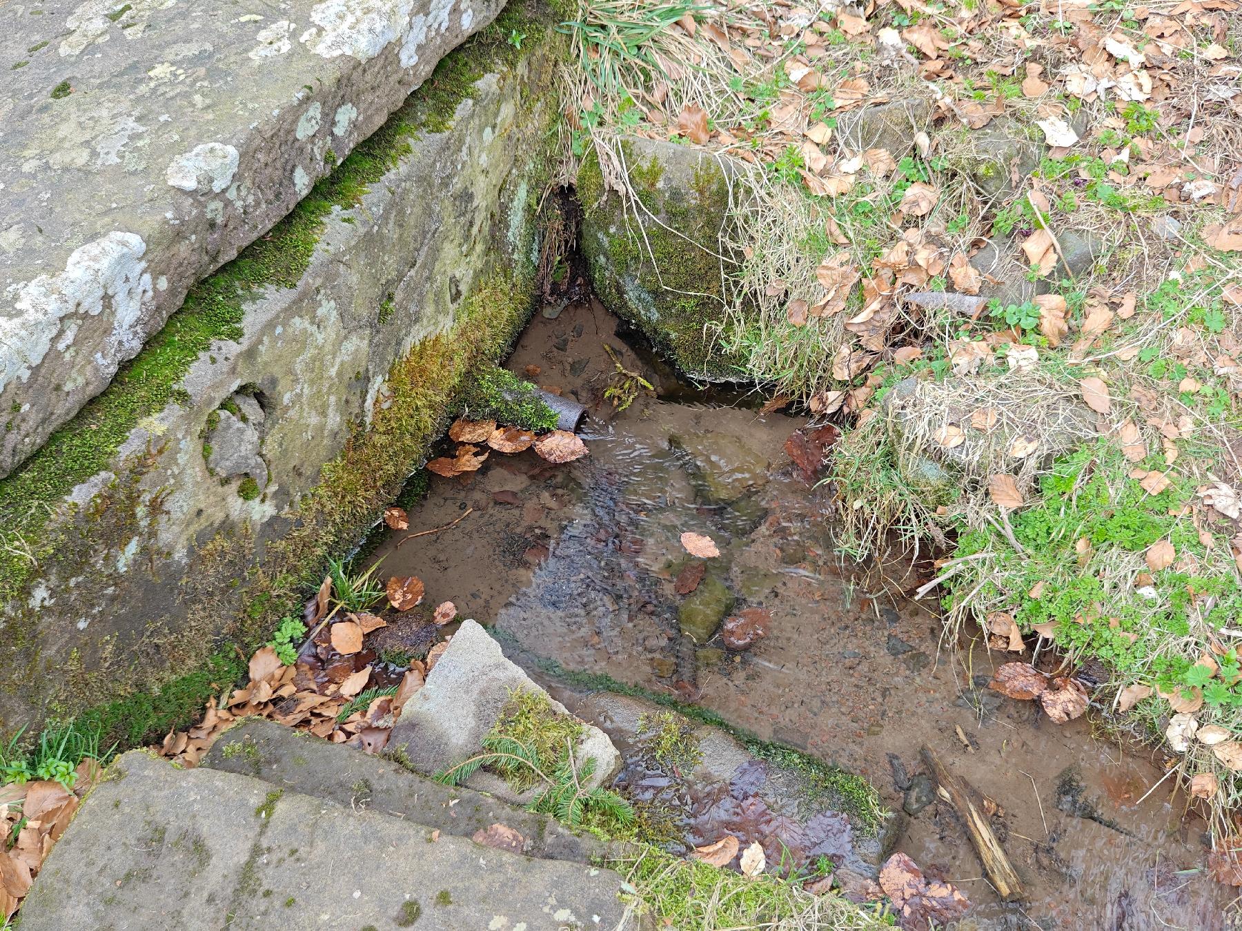 Quelle Landgrafenborn in Schotten-Breungeshain