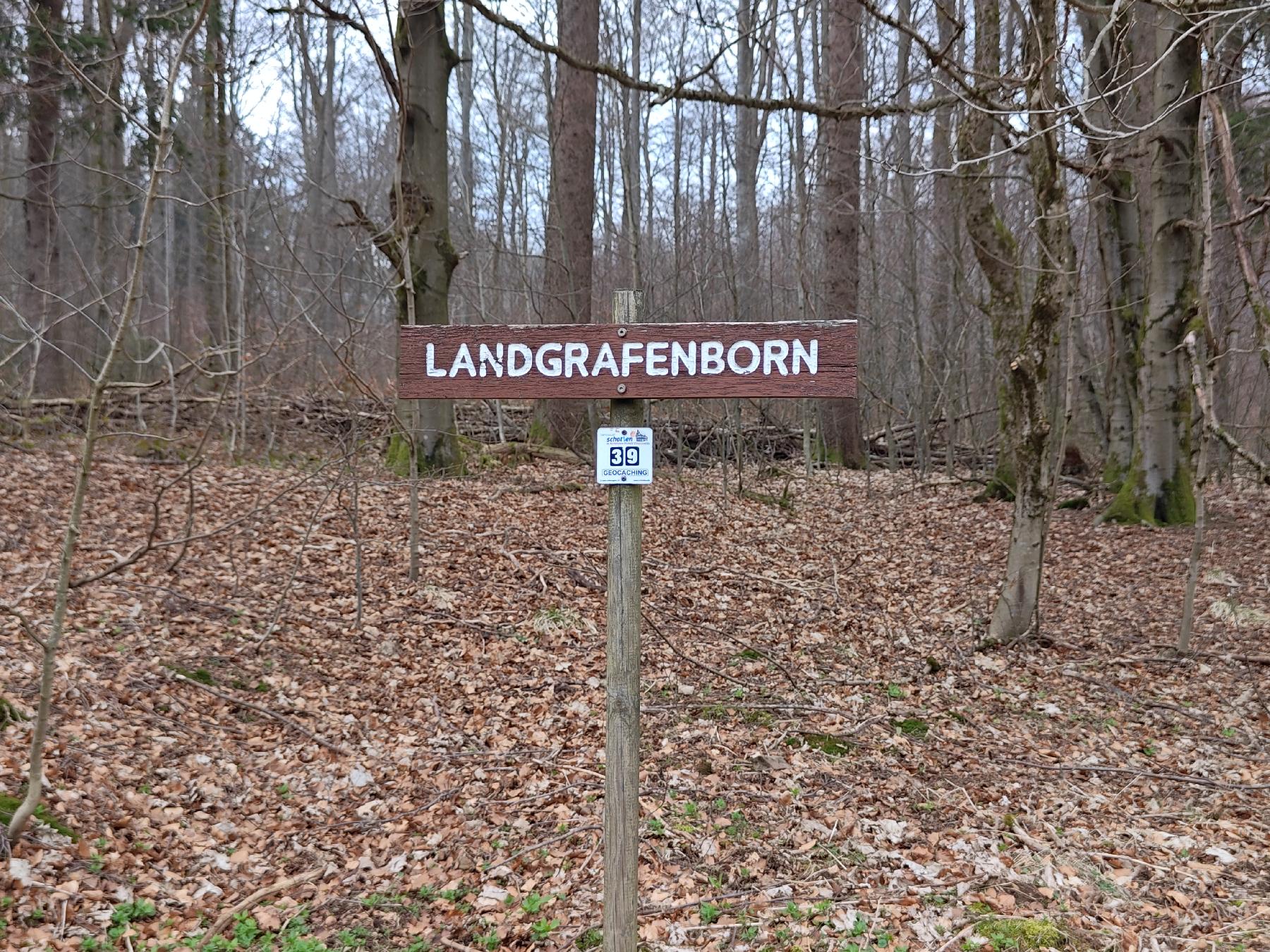 Quelle Landgrafenborn in Schotten-Breungeshain