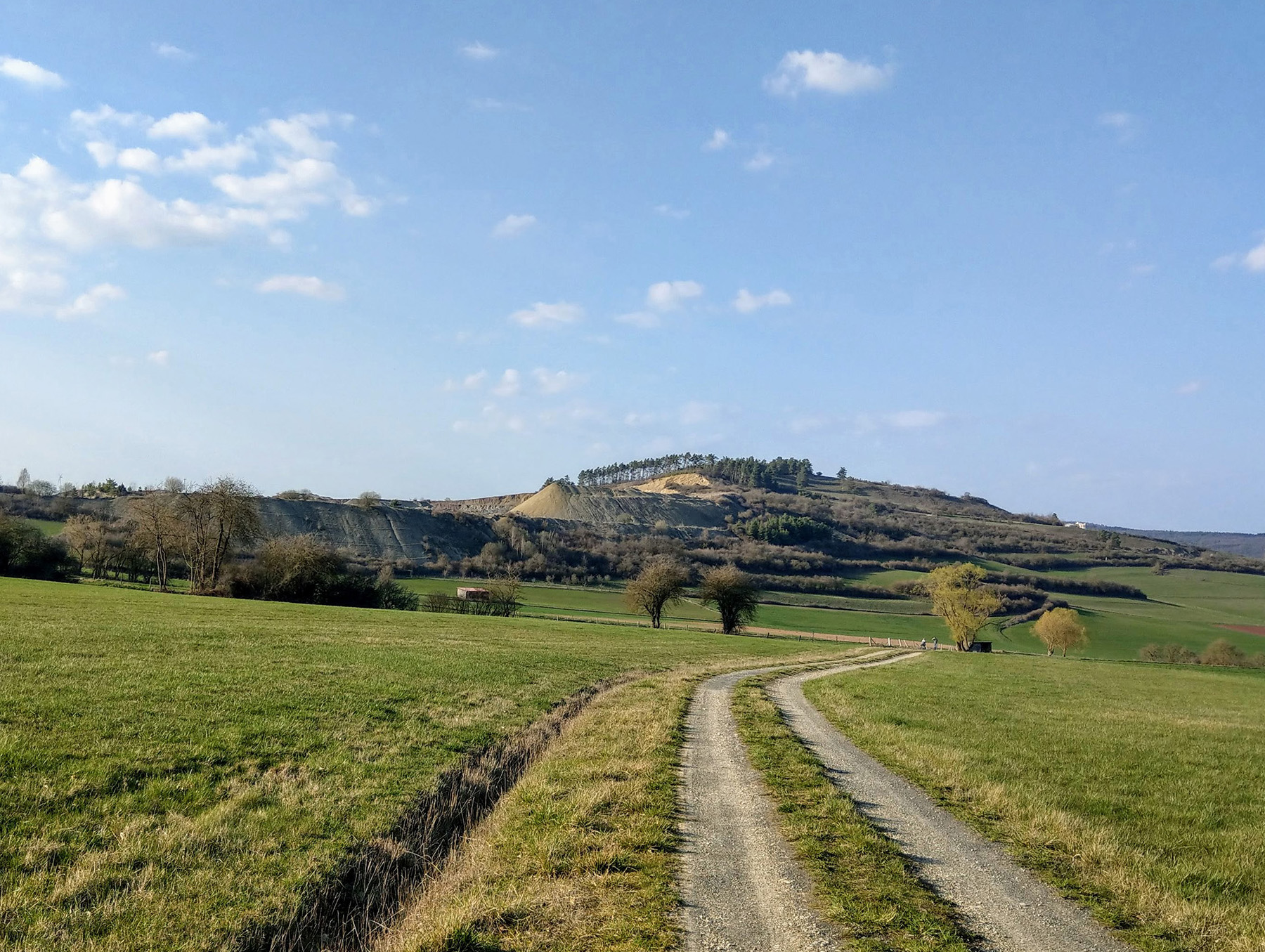 Berg Langenberg (Kalkberge) in Großenlüder-Müs