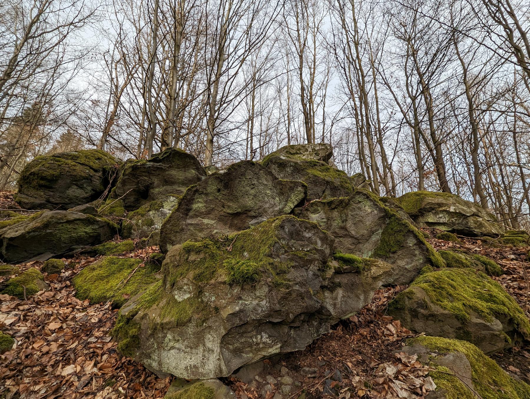 Felsen Mittagssteine in Lauterbach (Hessen)-Allmenrod