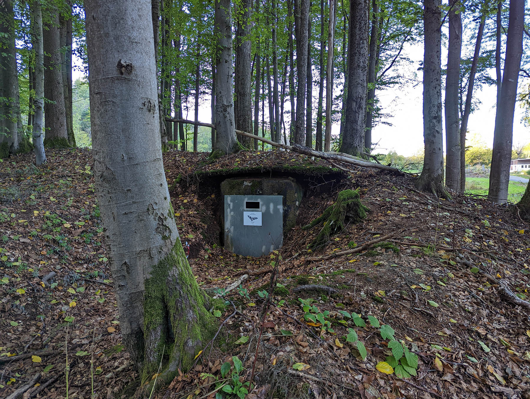 Kulturdenkmal Munitionsbunker 1 - Auf dem Scherschhain in Grebenhain-Oberwald