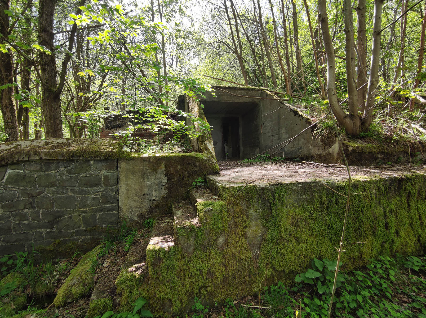 Kulturdenkmal Munitionsbunker 1 der Erweiterung in Grebenhain-Oberwald
