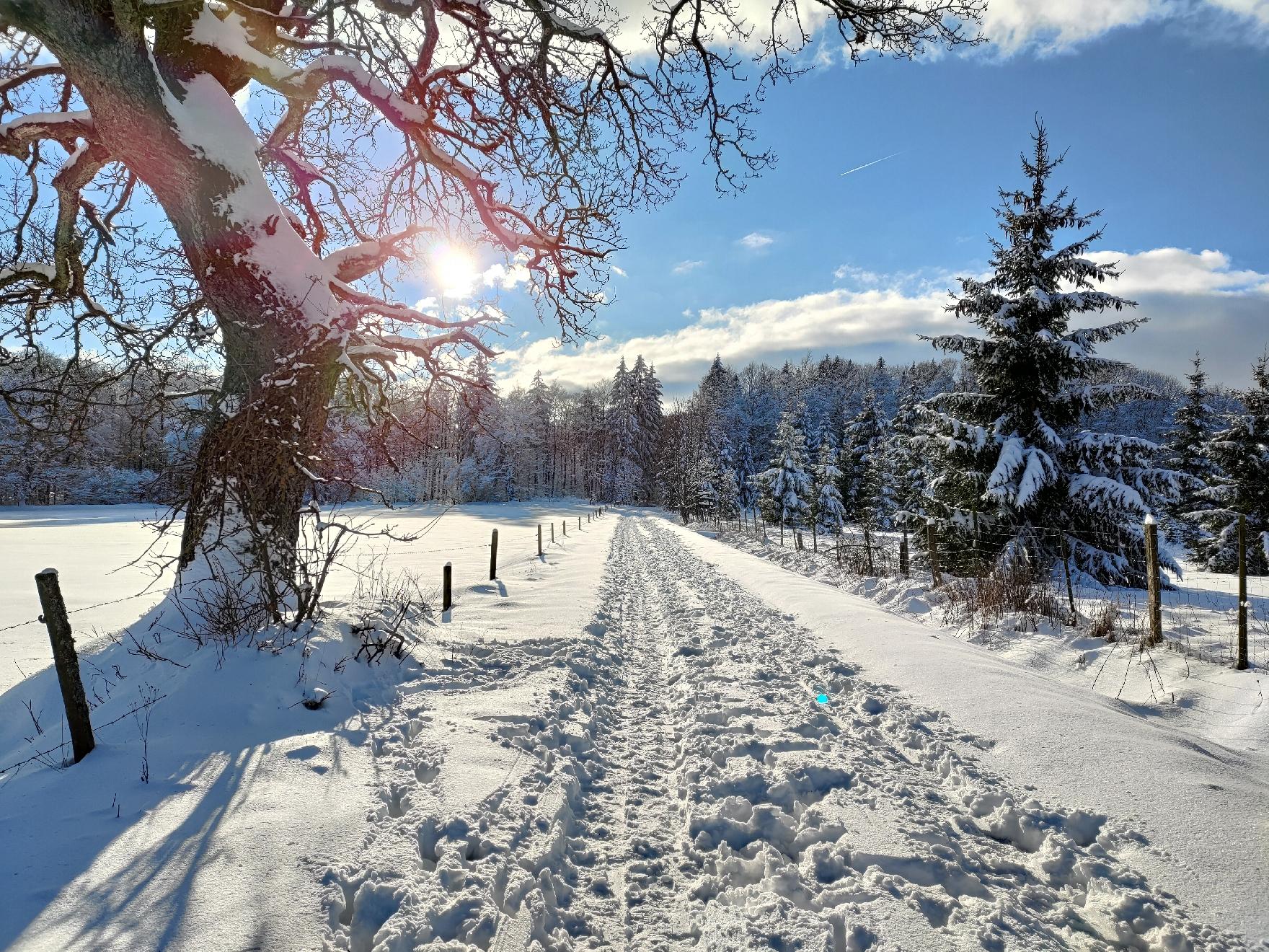 Berg Nesselberg in Grebenhain-Hochwaldhausen