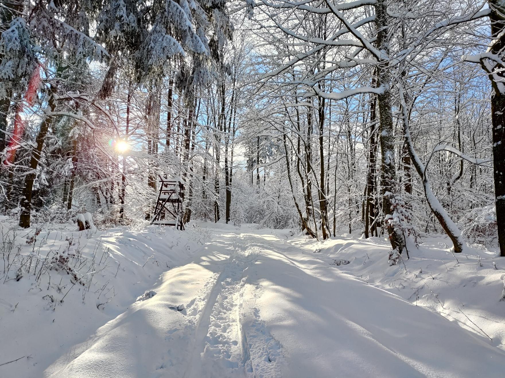 Berg Nesselberg in Grebenhain-Hochwaldhausen