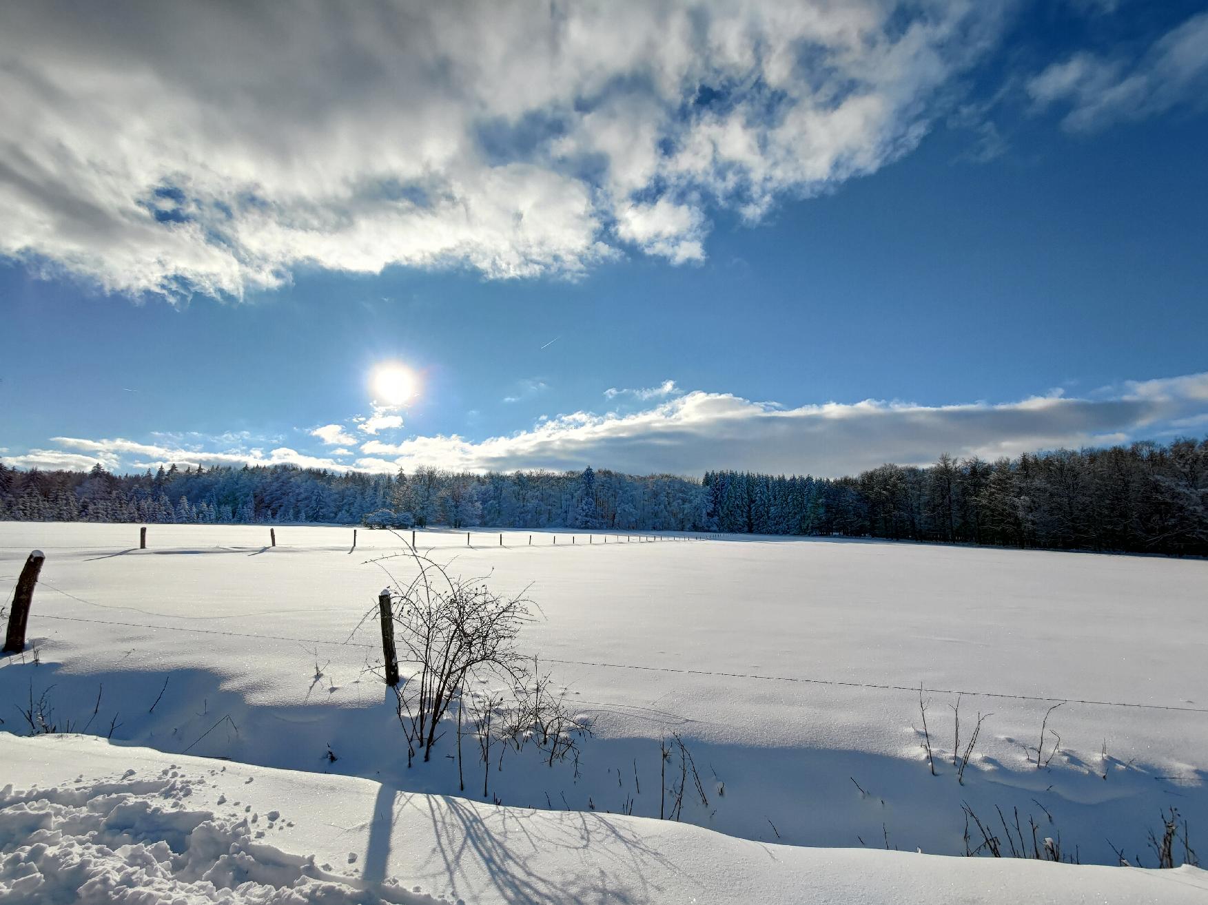 Berg Nesselberg in Grebenhain-Hochwaldhausen