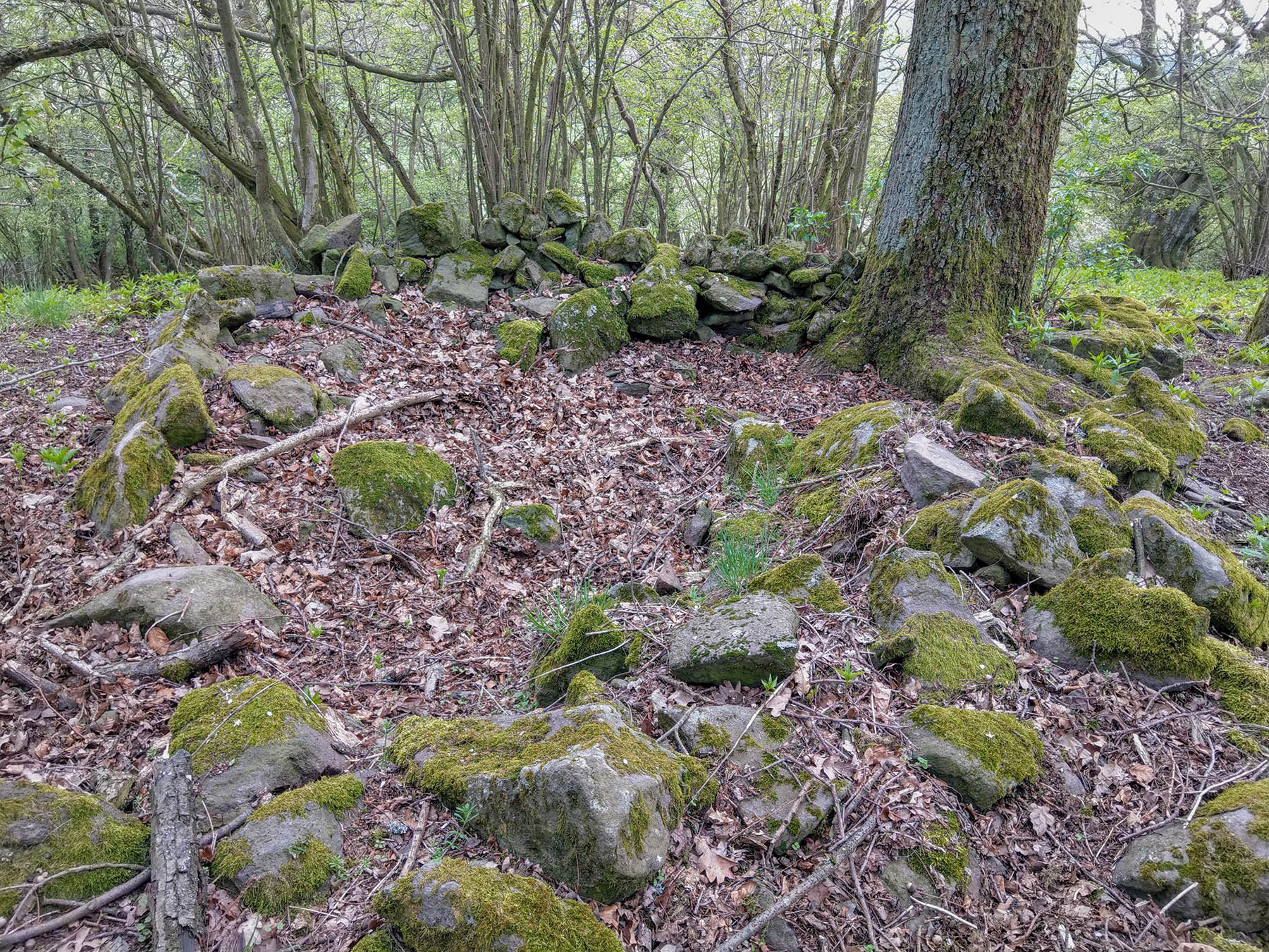 Kulturdenkmal Opferstätte Teufelskopf in Feldatal-Köddingen