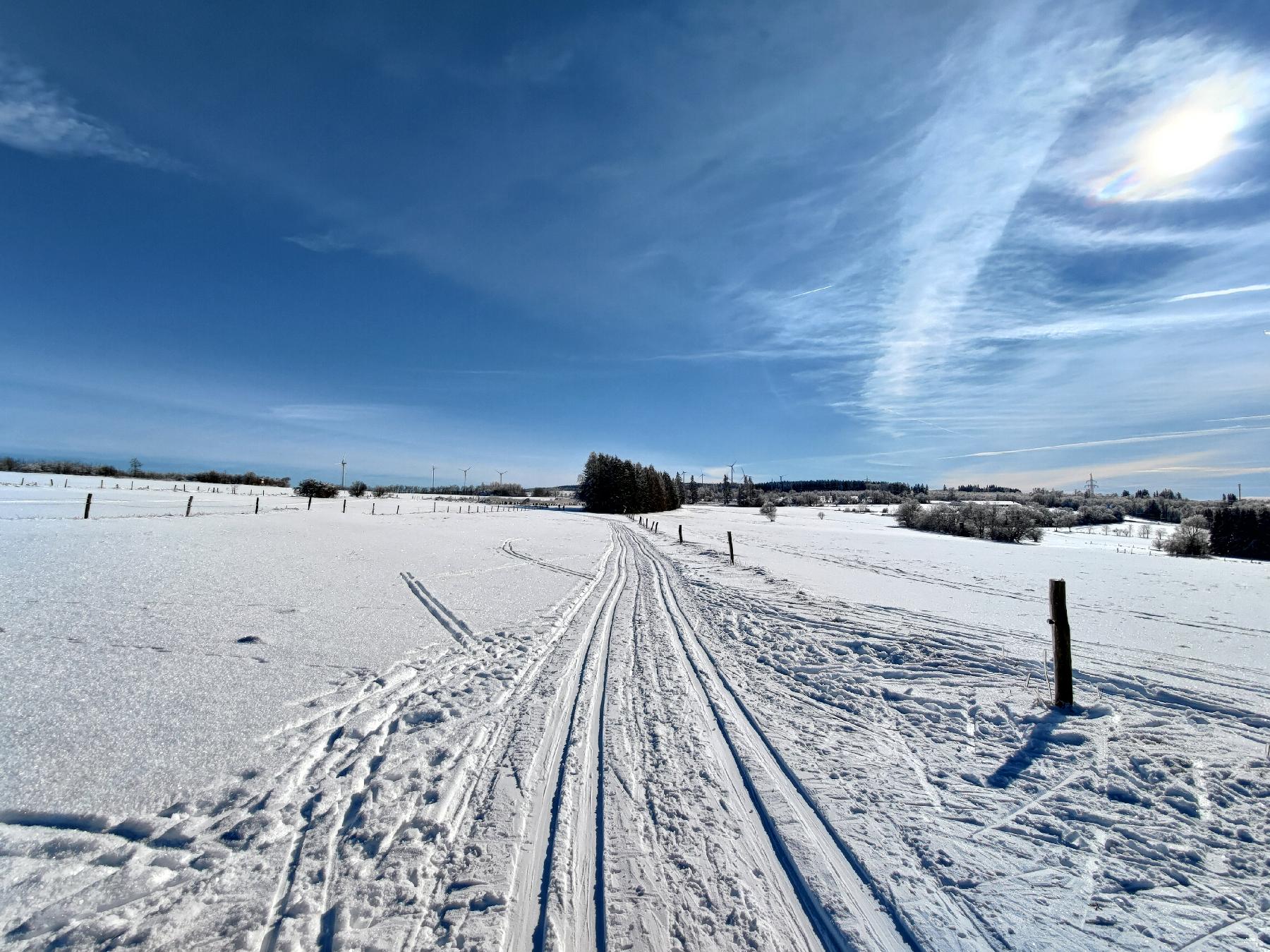 Strecke Panoramaloipe Ulrichstein I im Vogelsberg