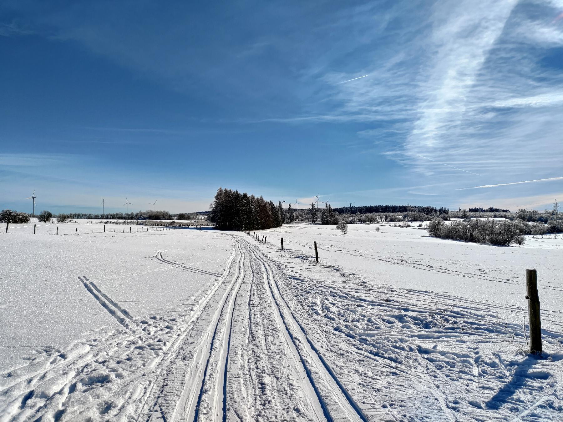 Strecke Panoramaloipe Ulrichstein II im Vogelsberg