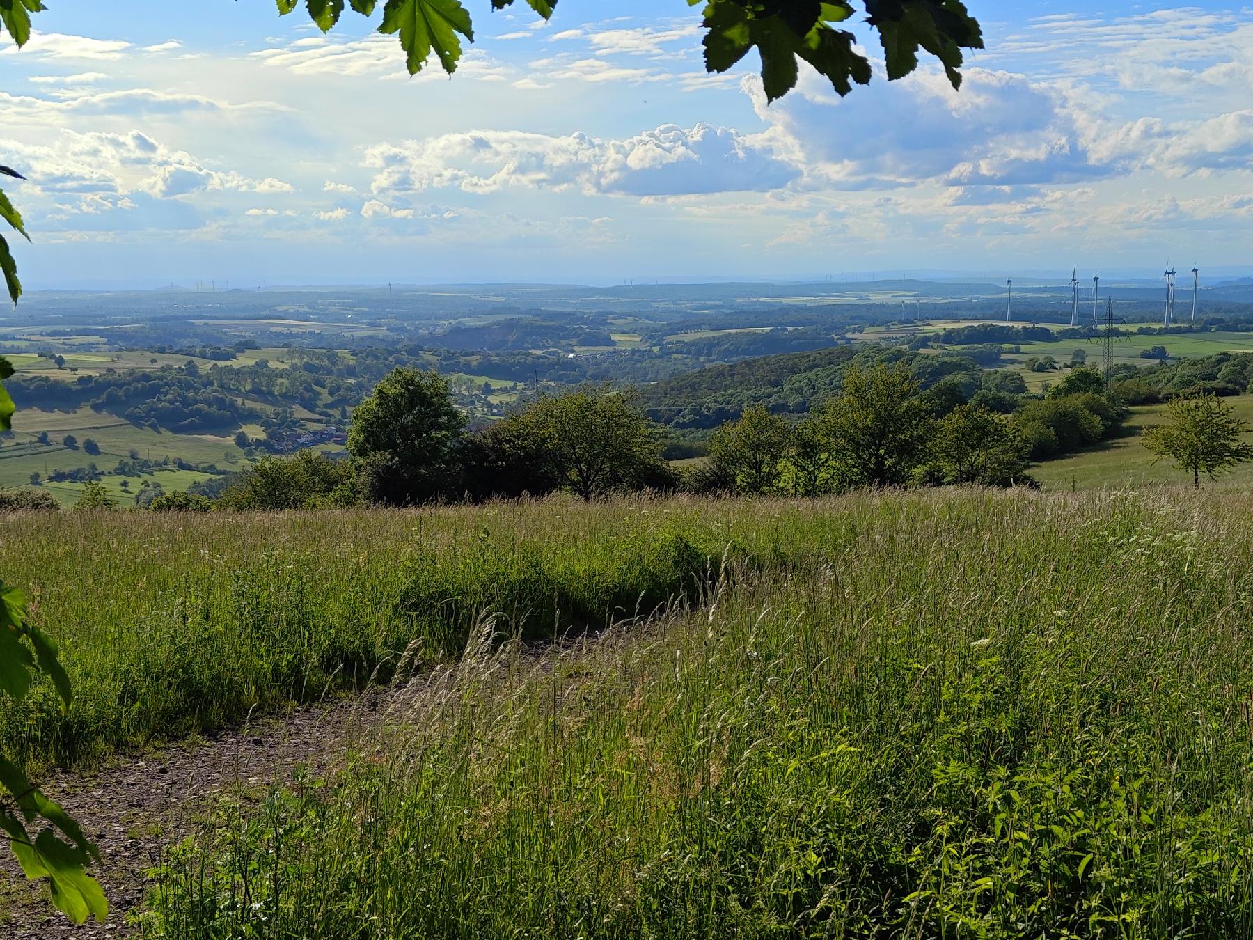 Berg Platte (Ober-Seibertenrod) in Ulrichstein-Ober-Seibertenrod
