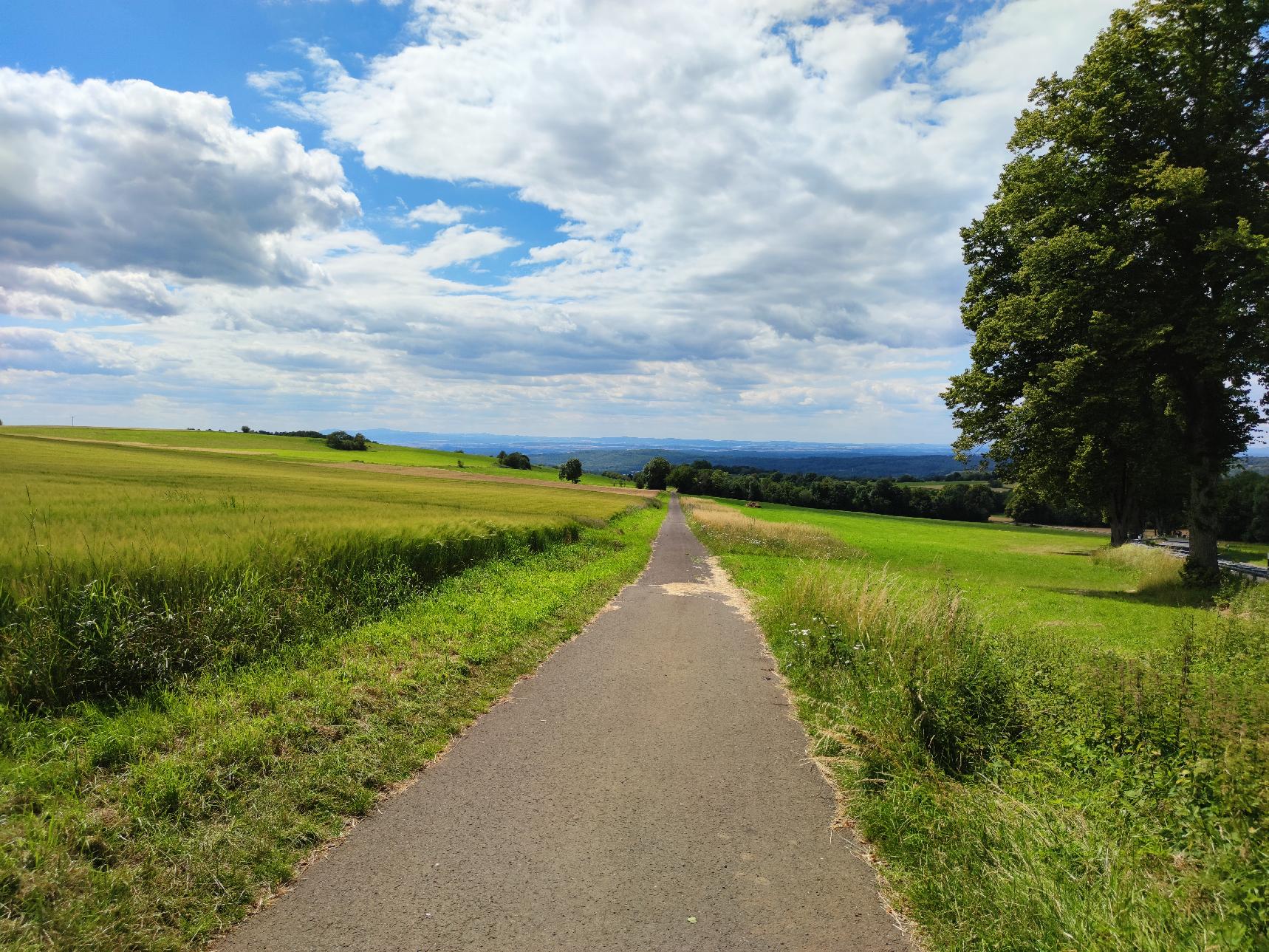 Berg Platte (Busenborn) in Schotten-Busenborn