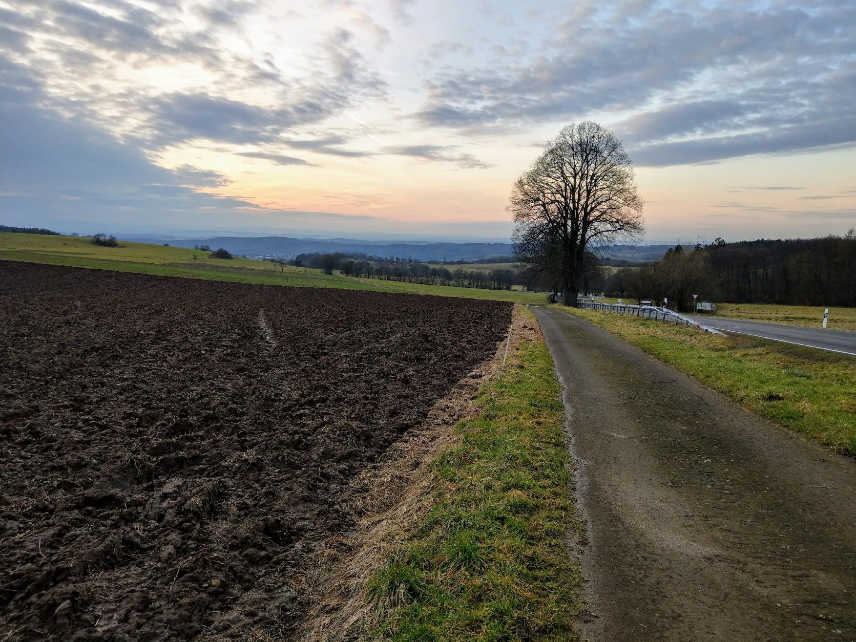 Berg Platte (Busenborn) in Schotten-Busenborn