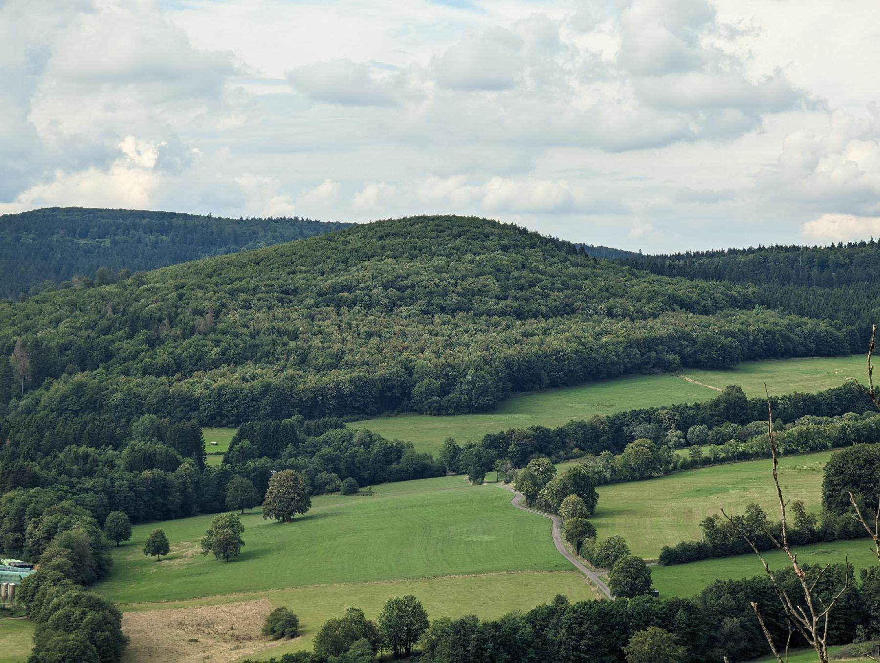 Berg Rehberg in Schotten-Sichenhausen