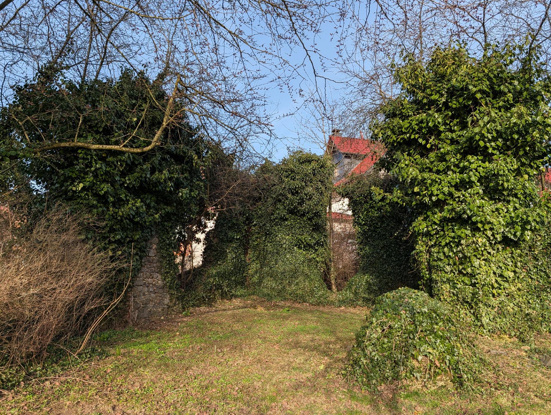 Kulturdenkmal Ruine Marienkirche Wernings in Gedern-Wenings-Wernings