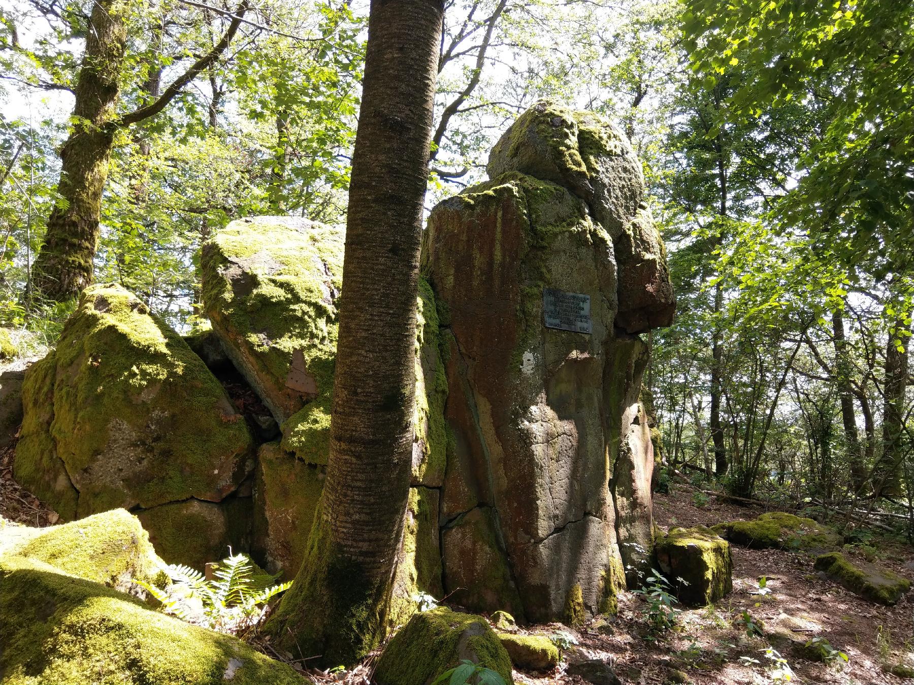 Felsen Schleuningsteine in Ulrichstein-Kölzenhain