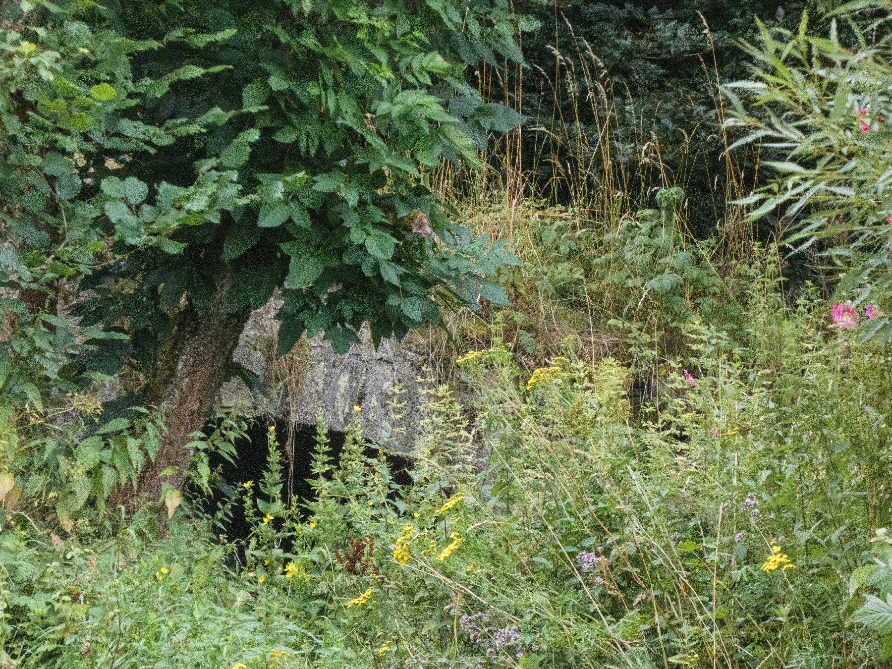 Kulturdenkmal Schlitzbachbrücke in Lautertal-Eichenrod