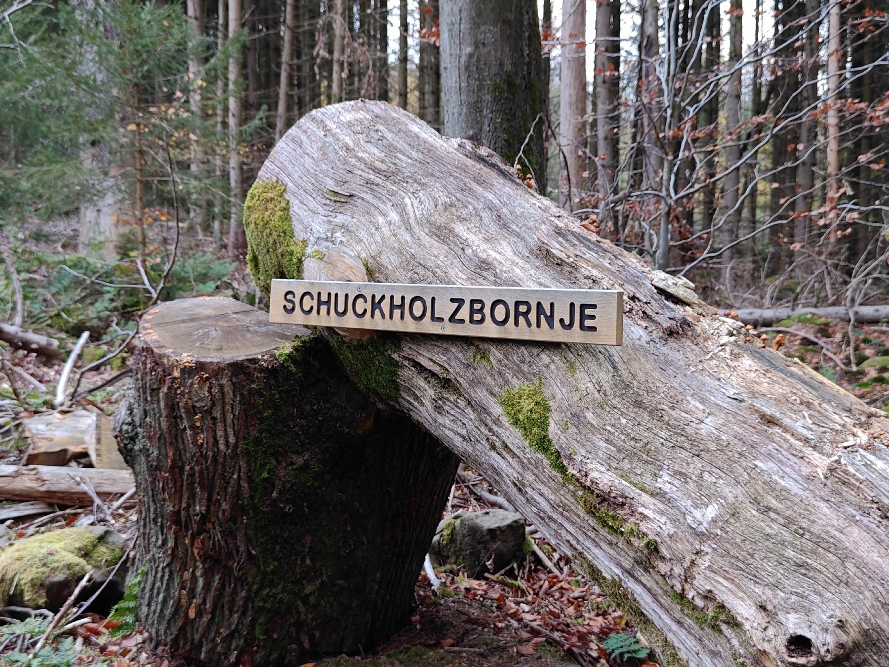 Quelle Schuckholzbornje in Herbstein-Lanzenhain