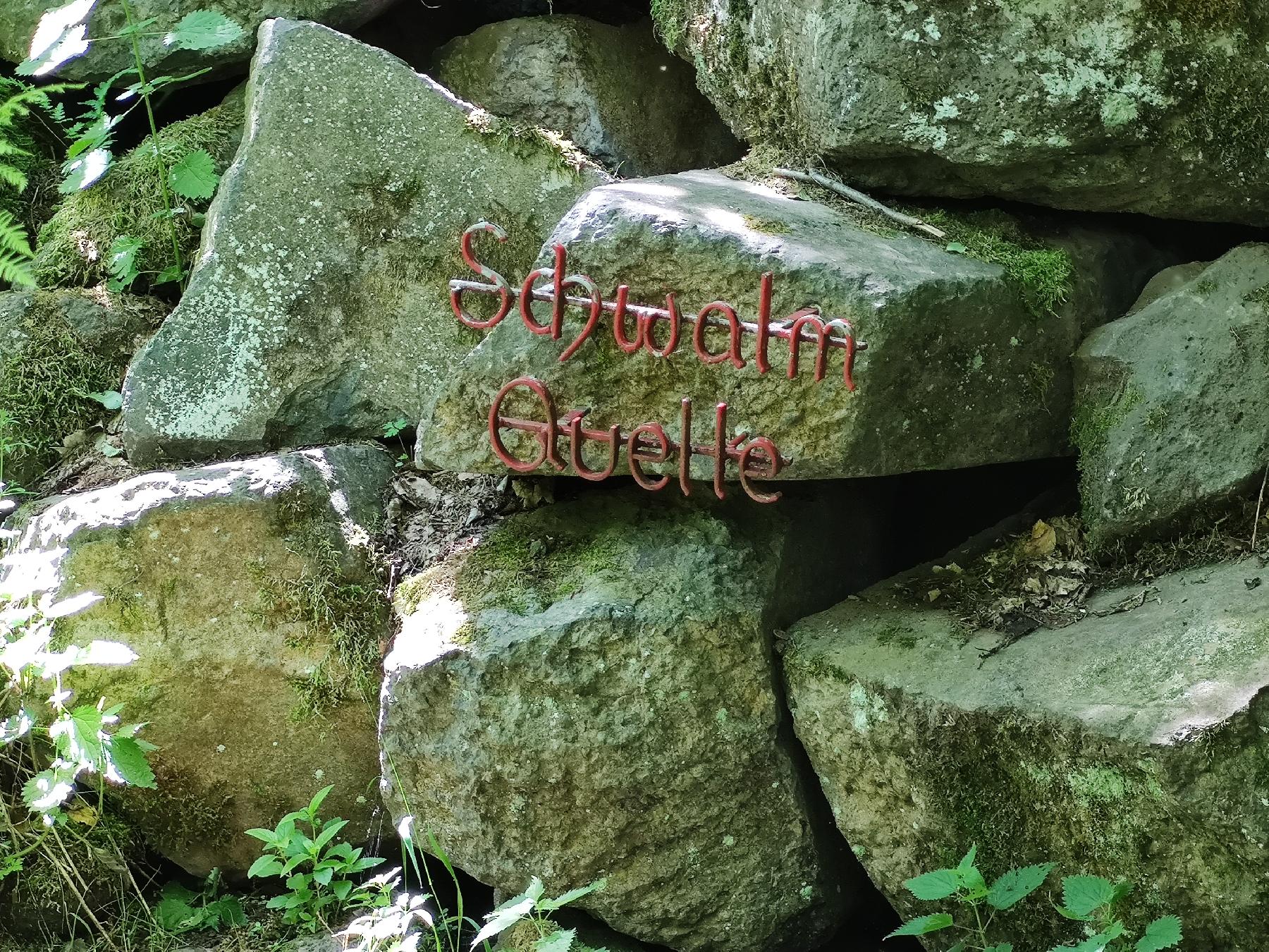 Quelle Schwalmquelle in Lautertal-Meiches