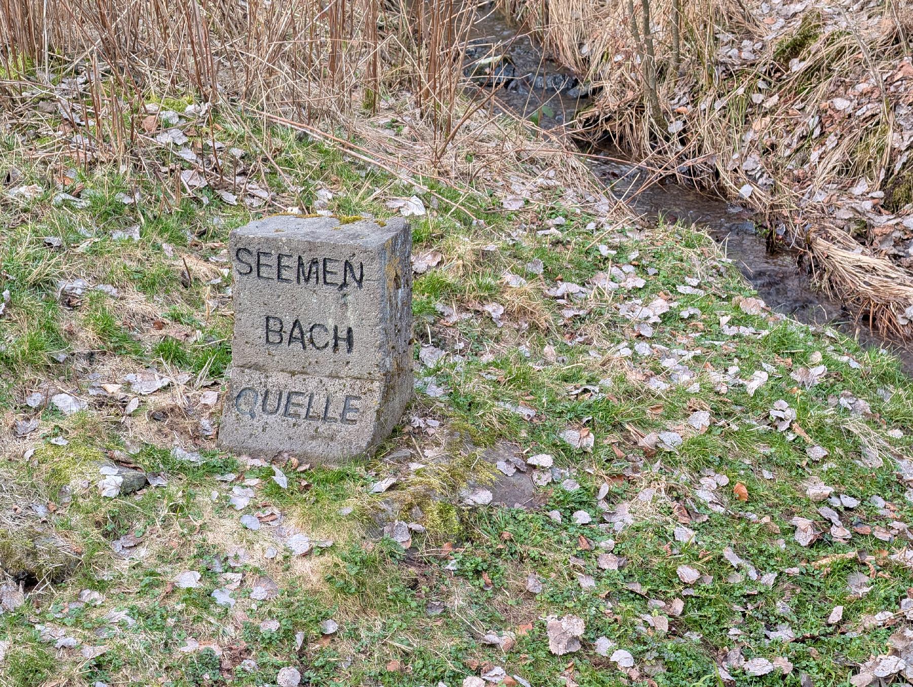 Quelle Seemenbachquelle in Gedern-Ober-Seemen