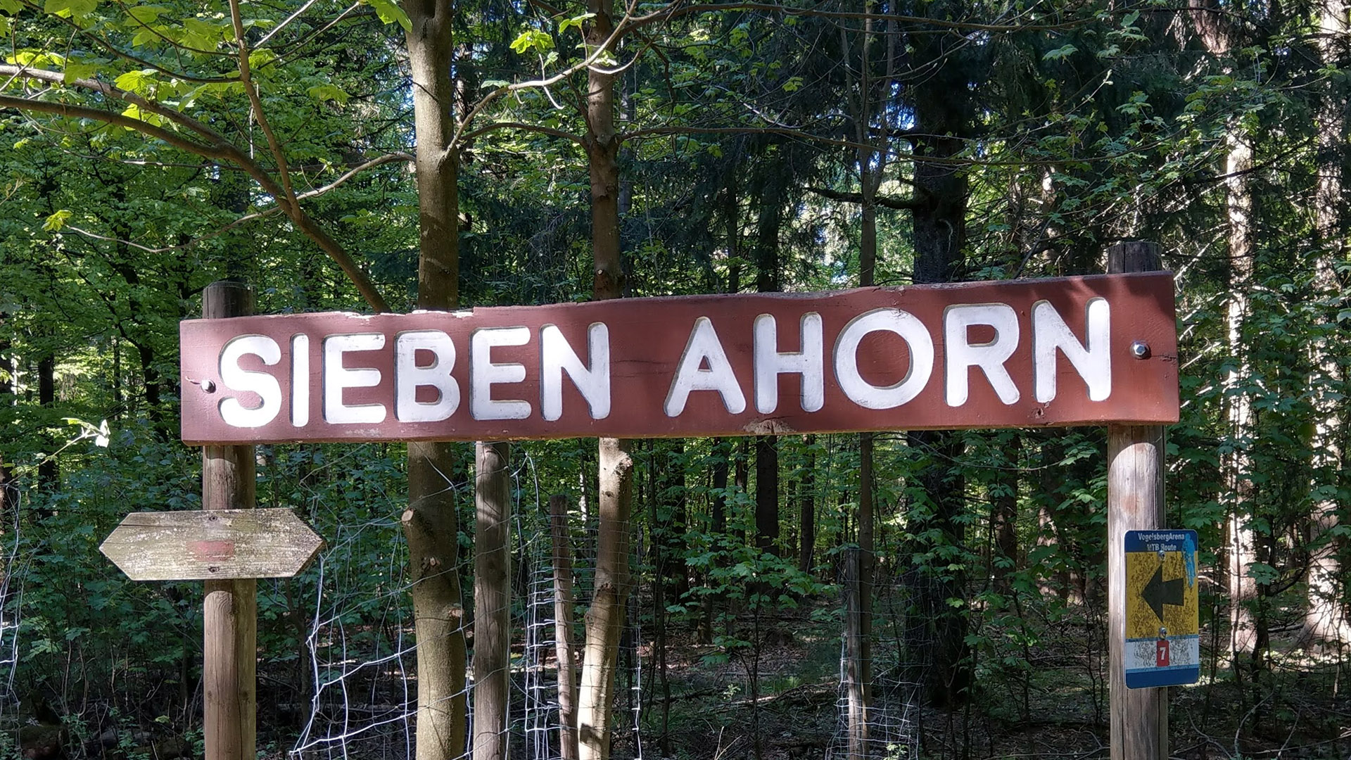 Berg Sieben Ahorn in Ulrichstein-Feldkrücken