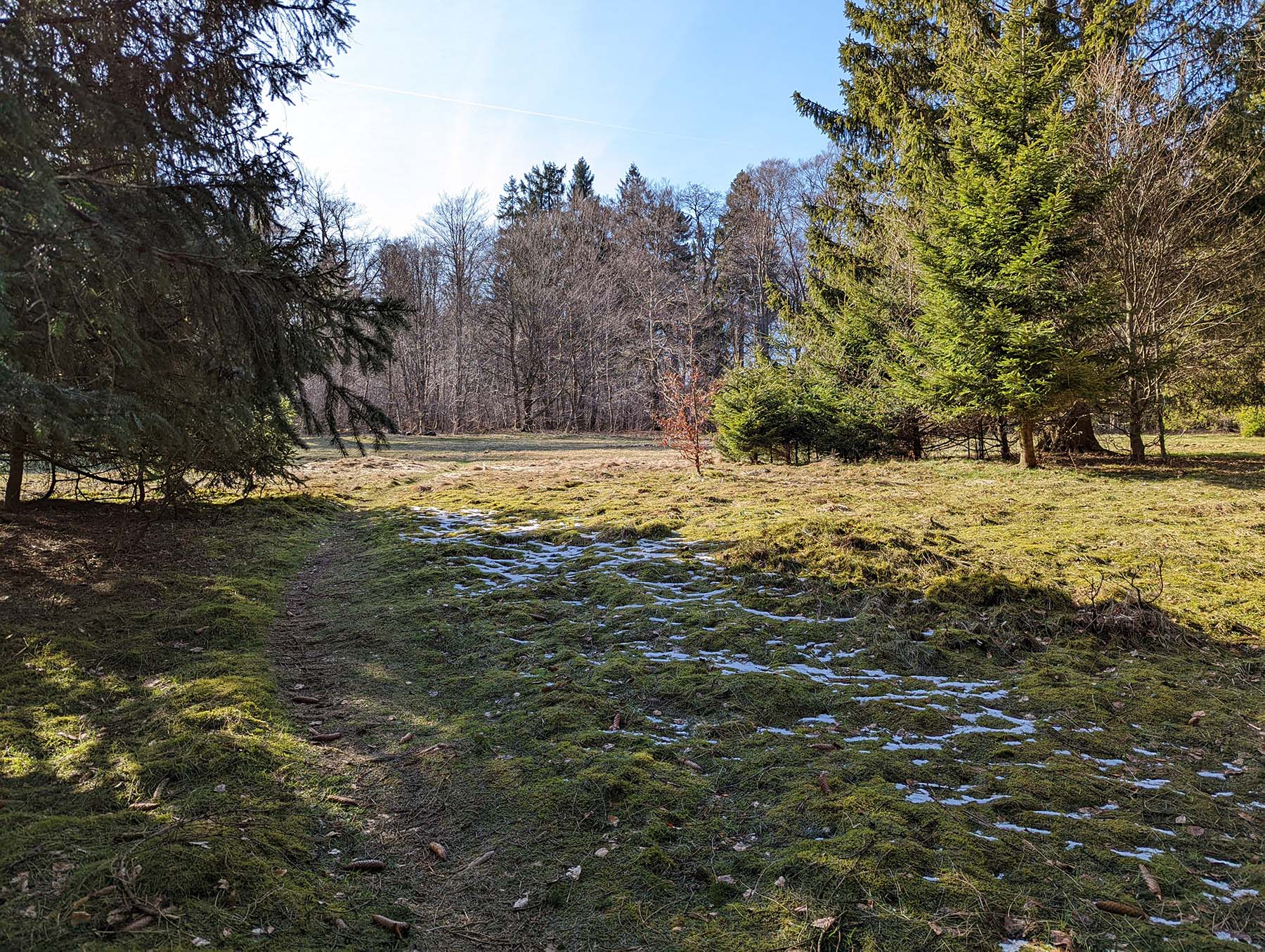 Berg Sieben Ahorn in Ulrichstein-Feldkrücken