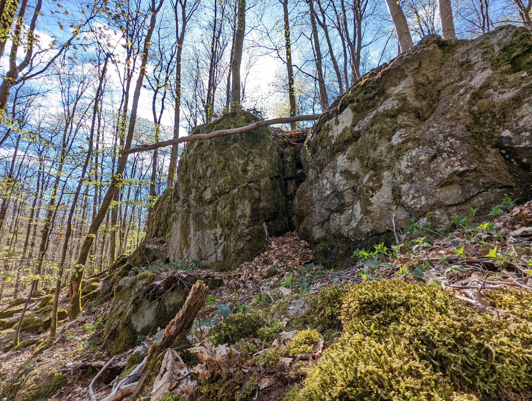 Felsen Spitzensteinheg in Grebenhain