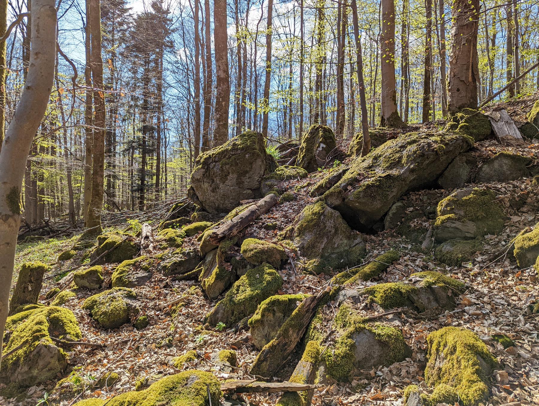Felsen Spitzensteinheg in Grebenhain