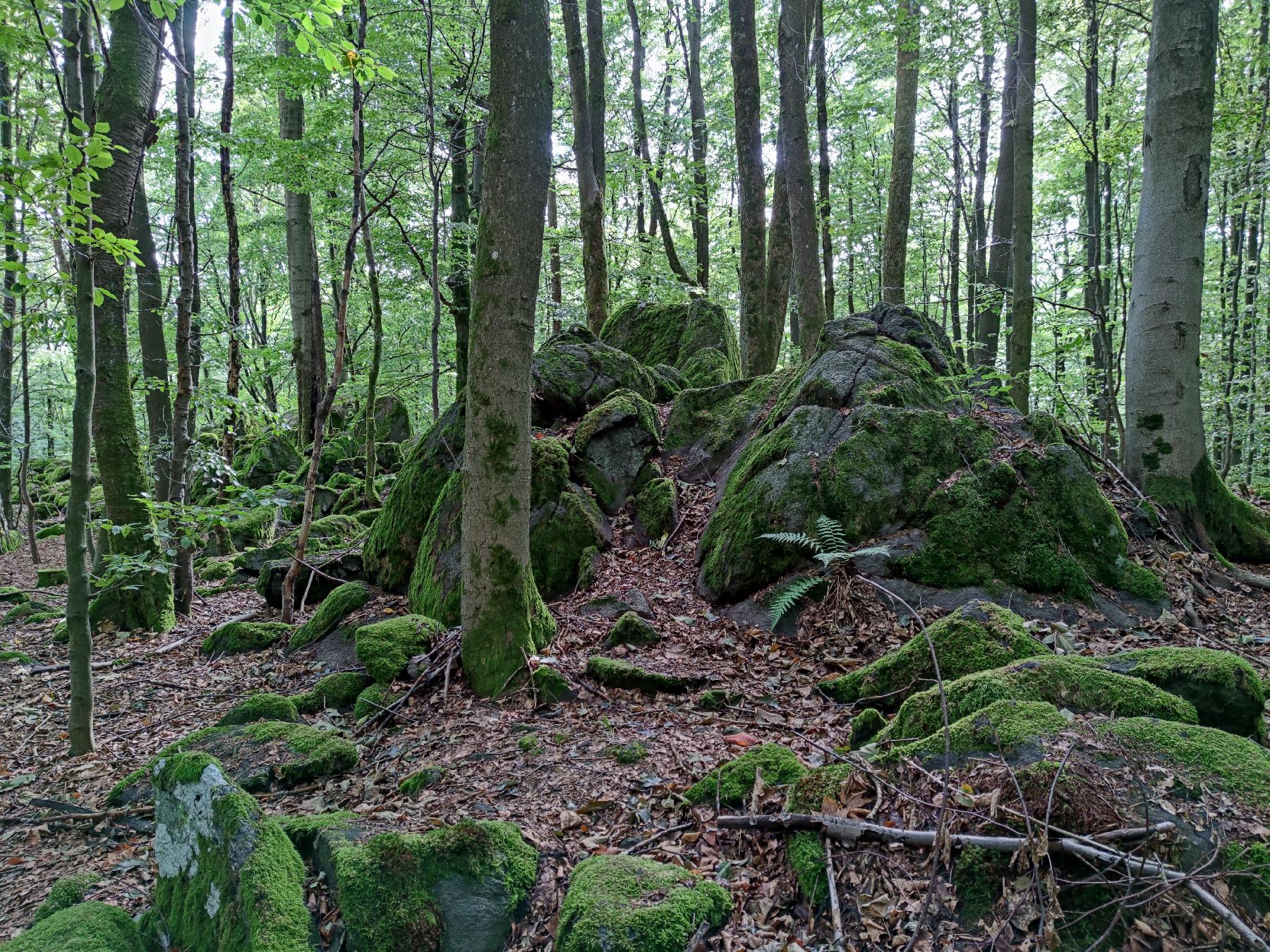 Felsen Spitzer Stein in Grebenhain