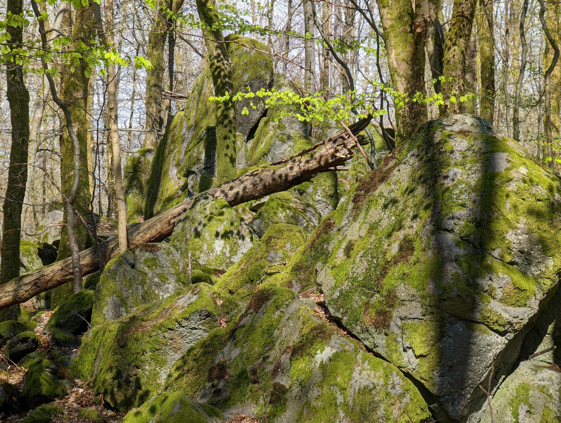 Felsen Spitzer Stein in Grebenhain