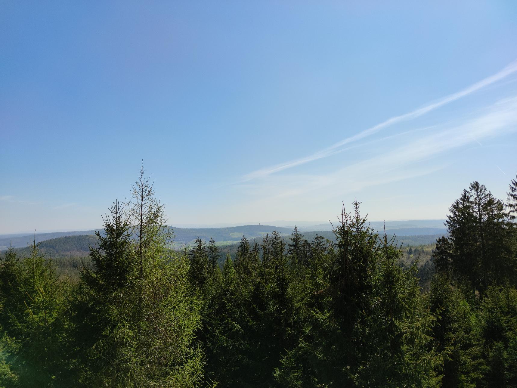 Berg Steinberg in Wartenberg-Angersbach