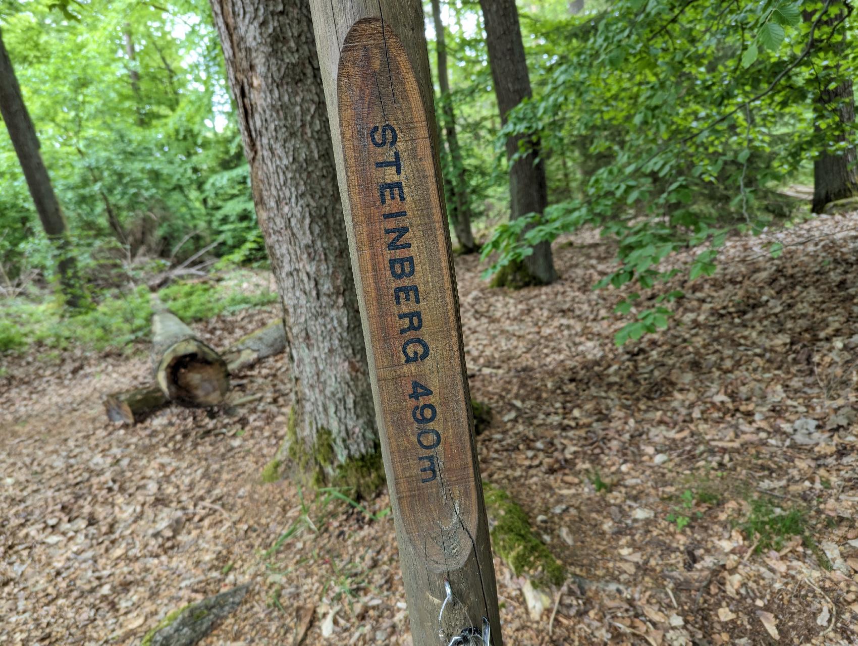 Berg Steinberg in Wartenberg-Angersbach